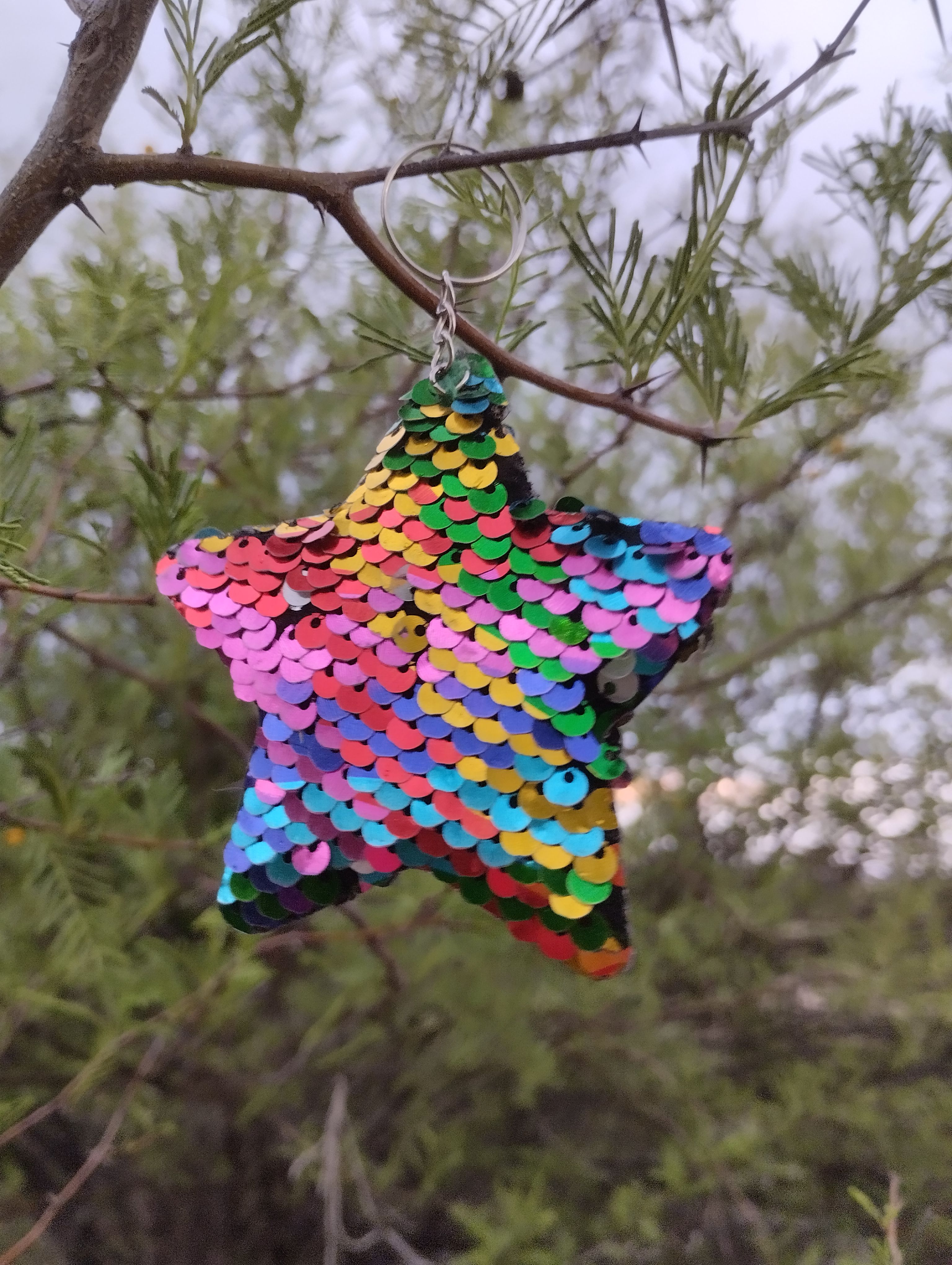 A vibrant multi-colored sequin star ornament hanging on a tree branch outdoors.