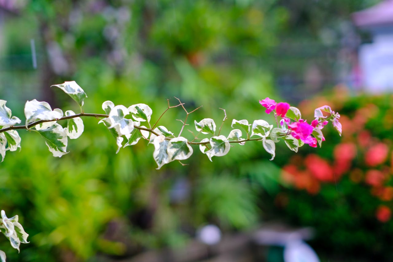 Sự thinh lặng khi người già im lặng