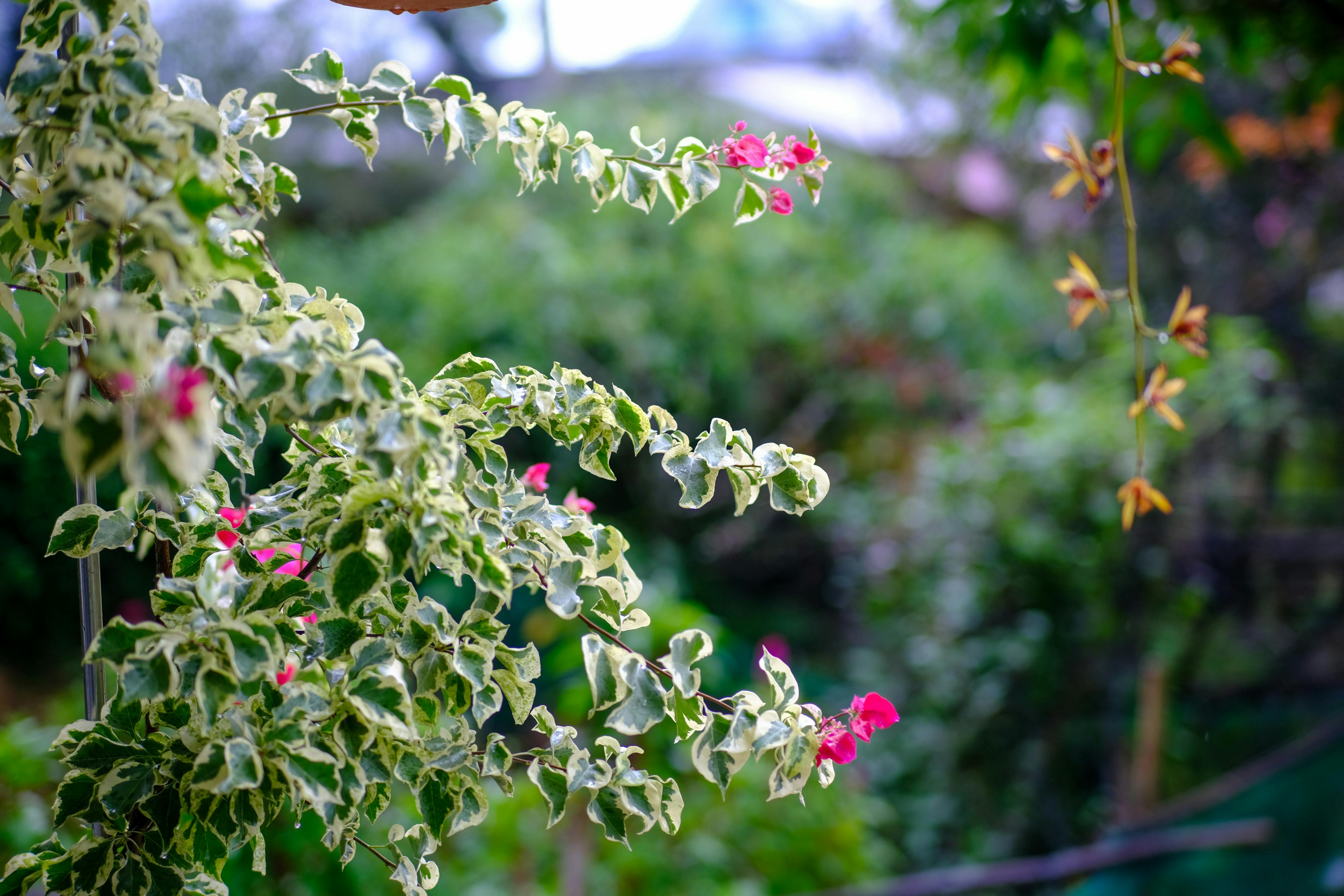 Thám tử lừng danh Conan | Chương 1067 146 – manga, gosho aoyama, case closed, tham tu lung danh conan, conan, detective conan, truyen tranh, trinh tham, pha an, trinh tham, kinh di, truyen conan, doc truyen conan, tham tu lung danh conan chuong 1067, tham tu lung danh conan 1067.