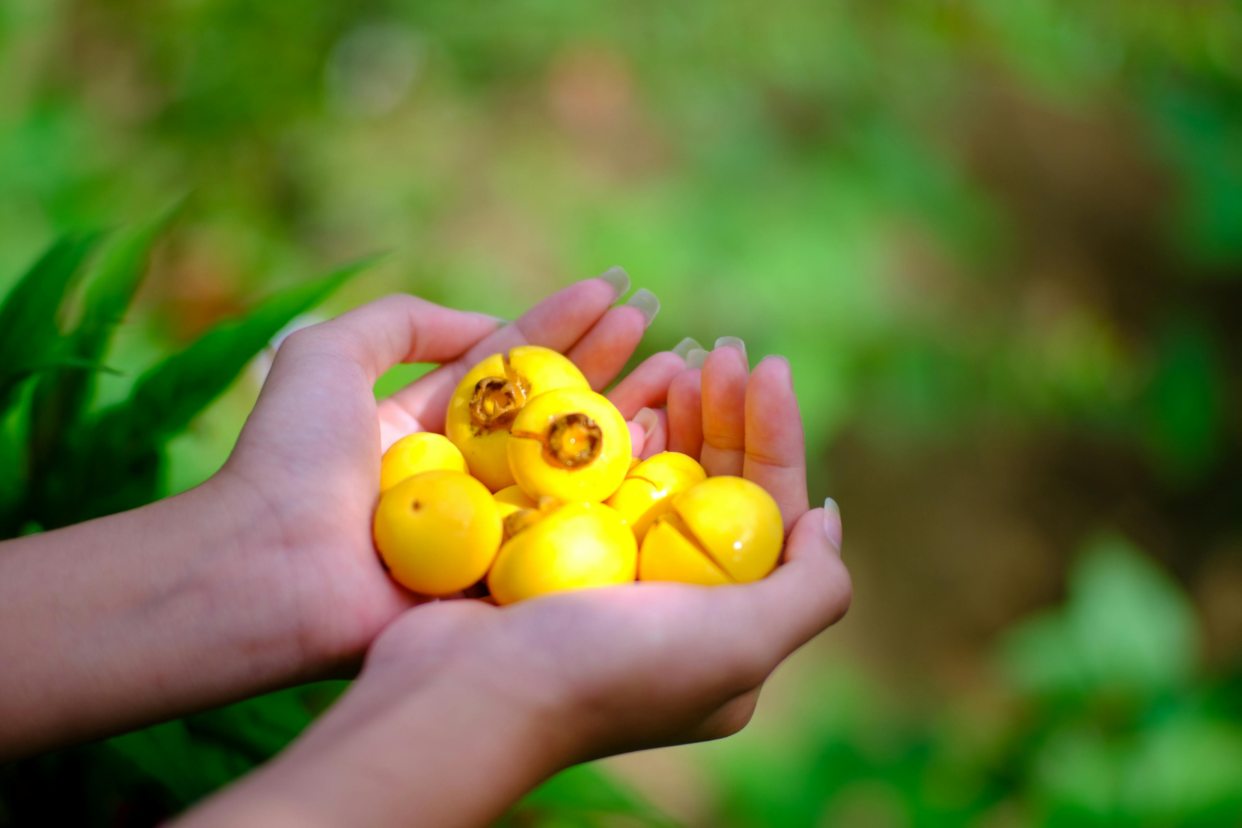 Trung tâm nghiên cứu văn học, phát triển nhà văn Việt Nam