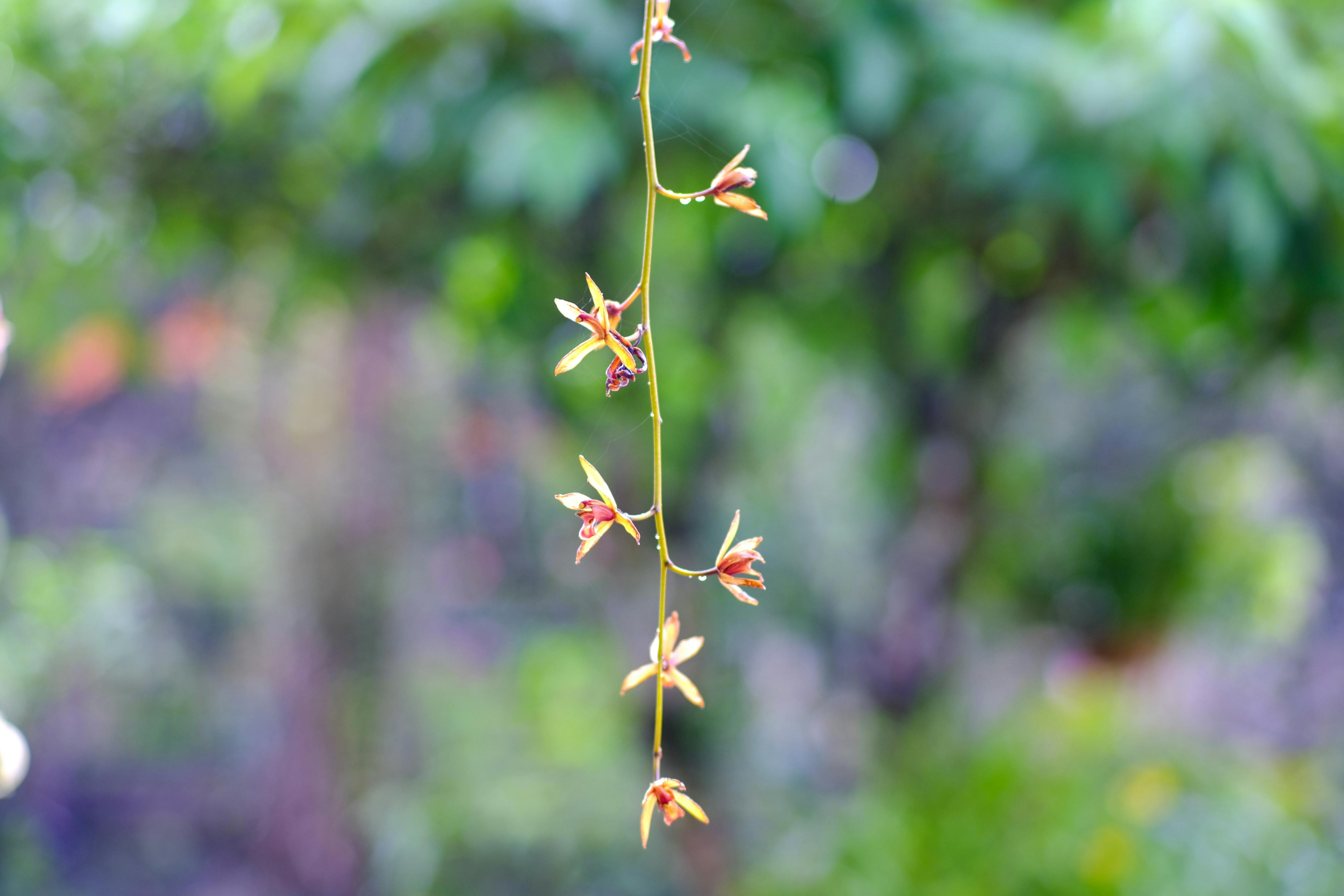 Trung tâm nghiên cứu văn học, phát triển nhà văn Việt Nam