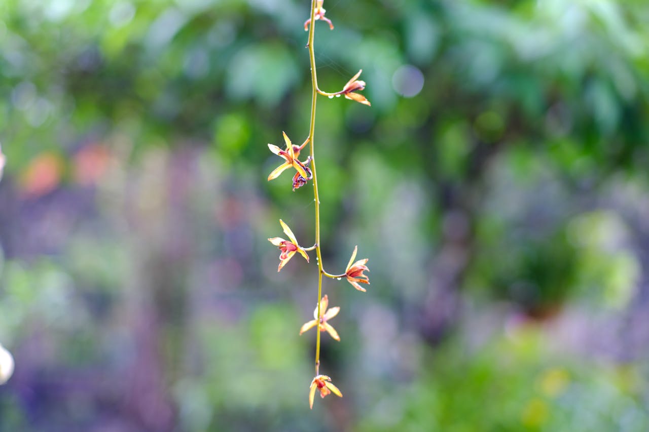 Khoa học và tôn giáo có thể hòa hợp với nhau không?