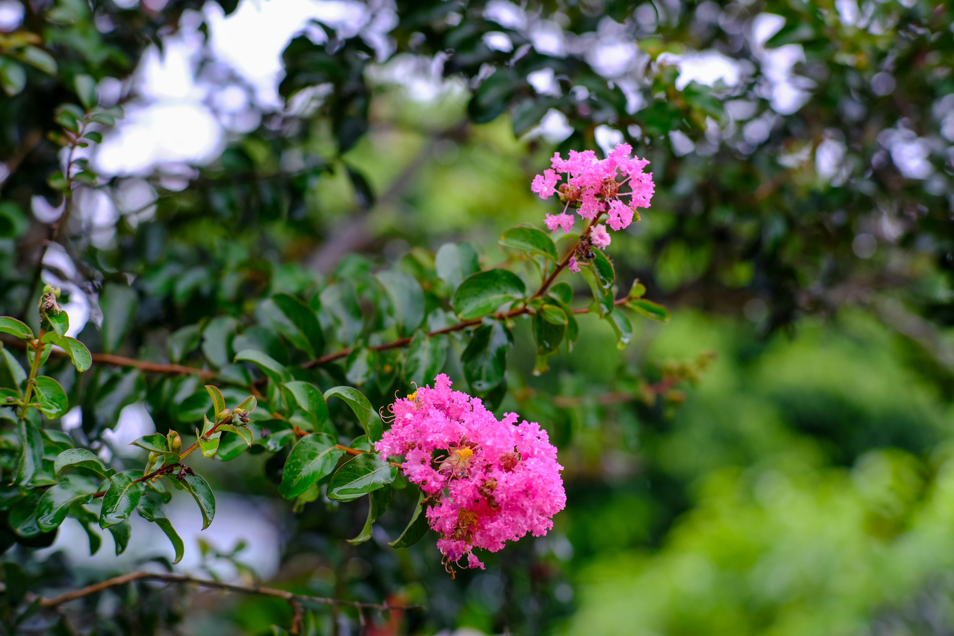 Danh sách theo thẻ tam-ly-hoc