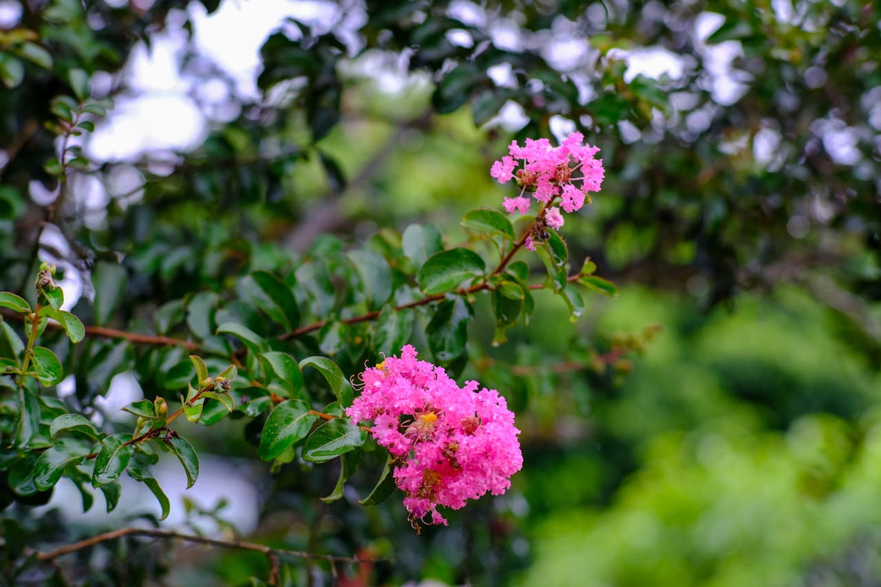 Đồ nhiên thảo | Chương 09