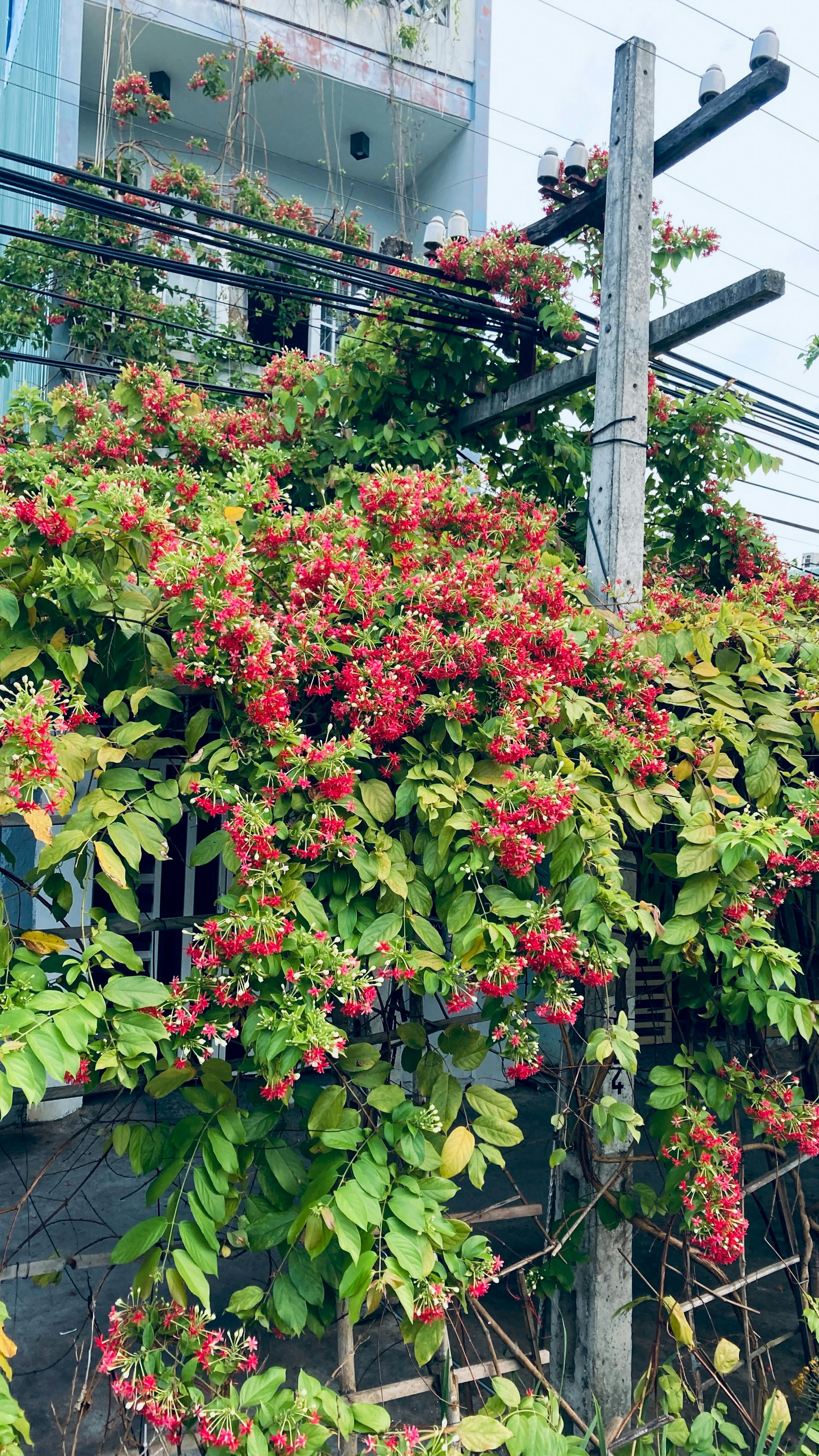 Big Bang không phải khởi đầu của vũ trụ 391 – khoa hoc, vu tru, vat ly thien van, khoa hoc vu tru, vat ly luong tu, vu no lon, big bang, khoi nguon vu tru, khoi dau vu tru.