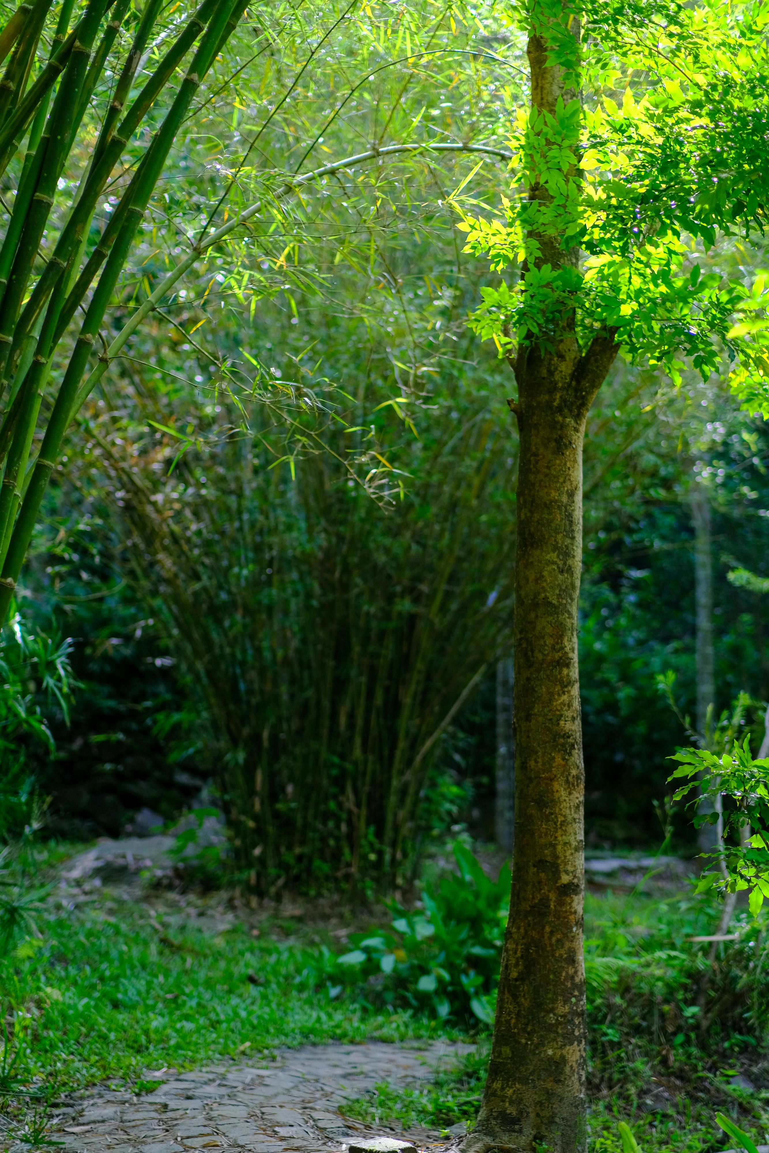 Gián điệp mạng | Chương 21 359 – clifford stoll, gian diep mang, an ninh mang, thu vien, van hoc, van hoc nuoc ngoai, gian diep mang chuong 21, gian diep mang 21.