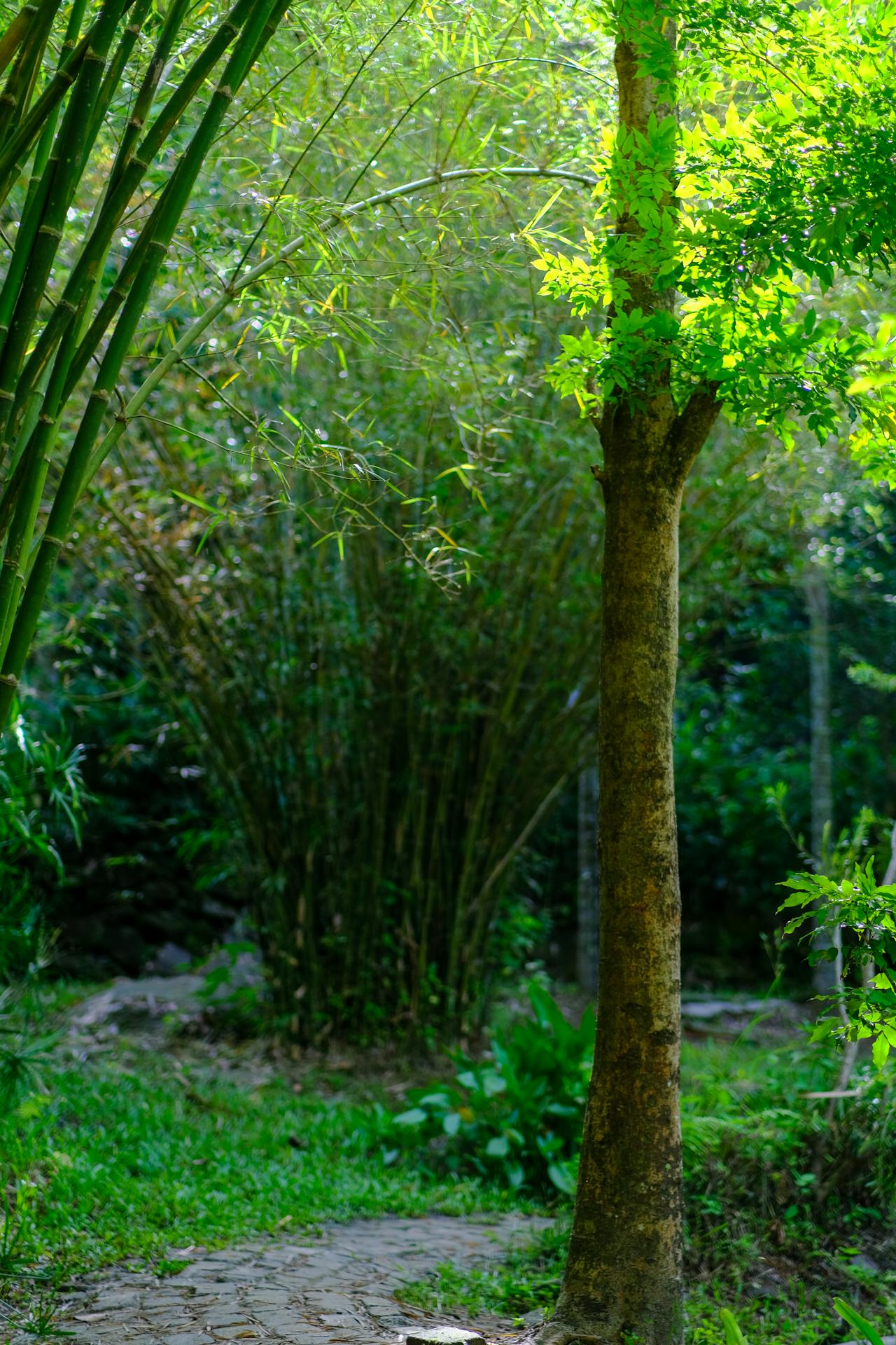 Thám tử lừng danh Conan | Chương 0199