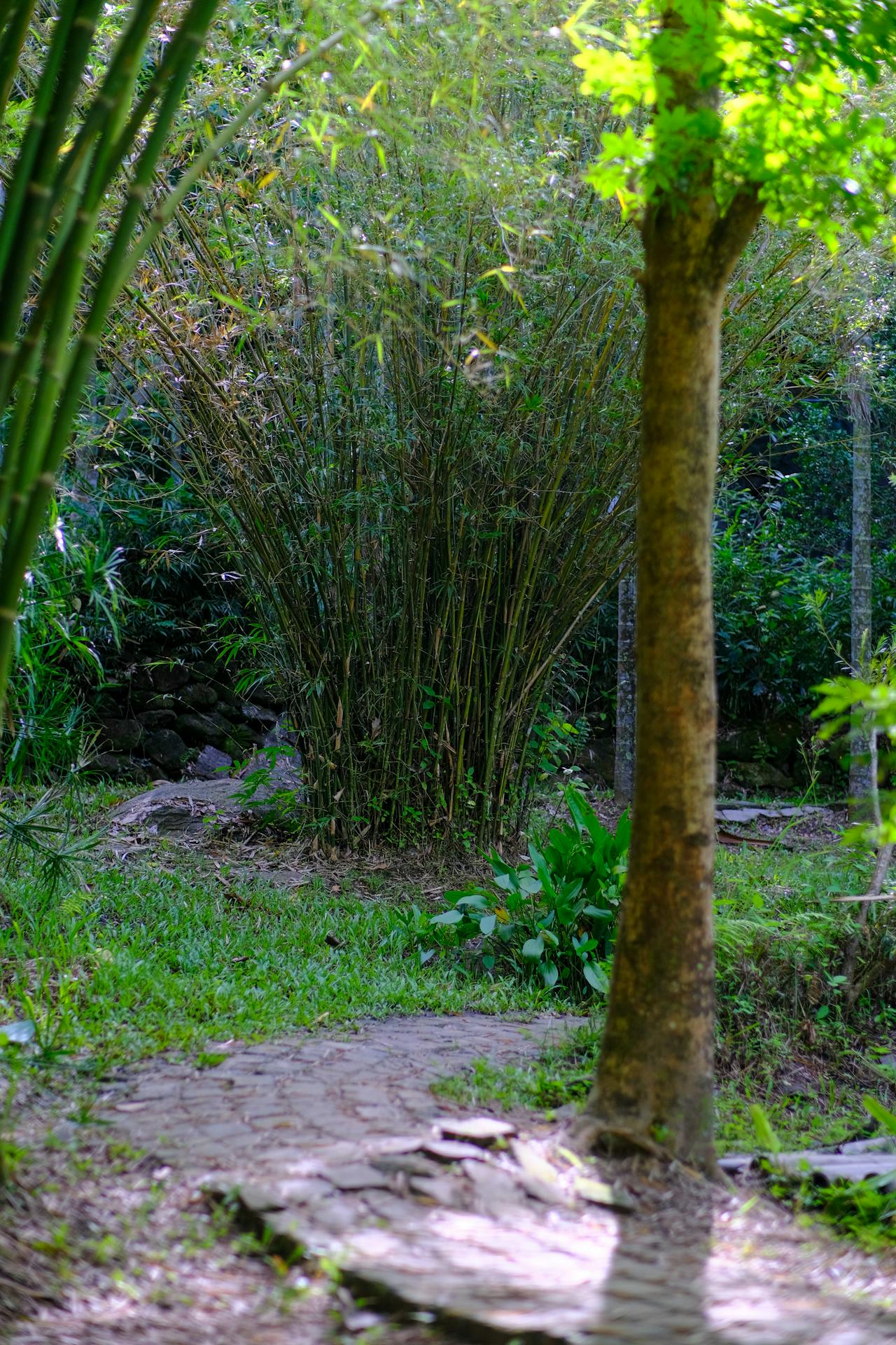 Xây dựng cốt truyện hấp dẫn và mạch lạc