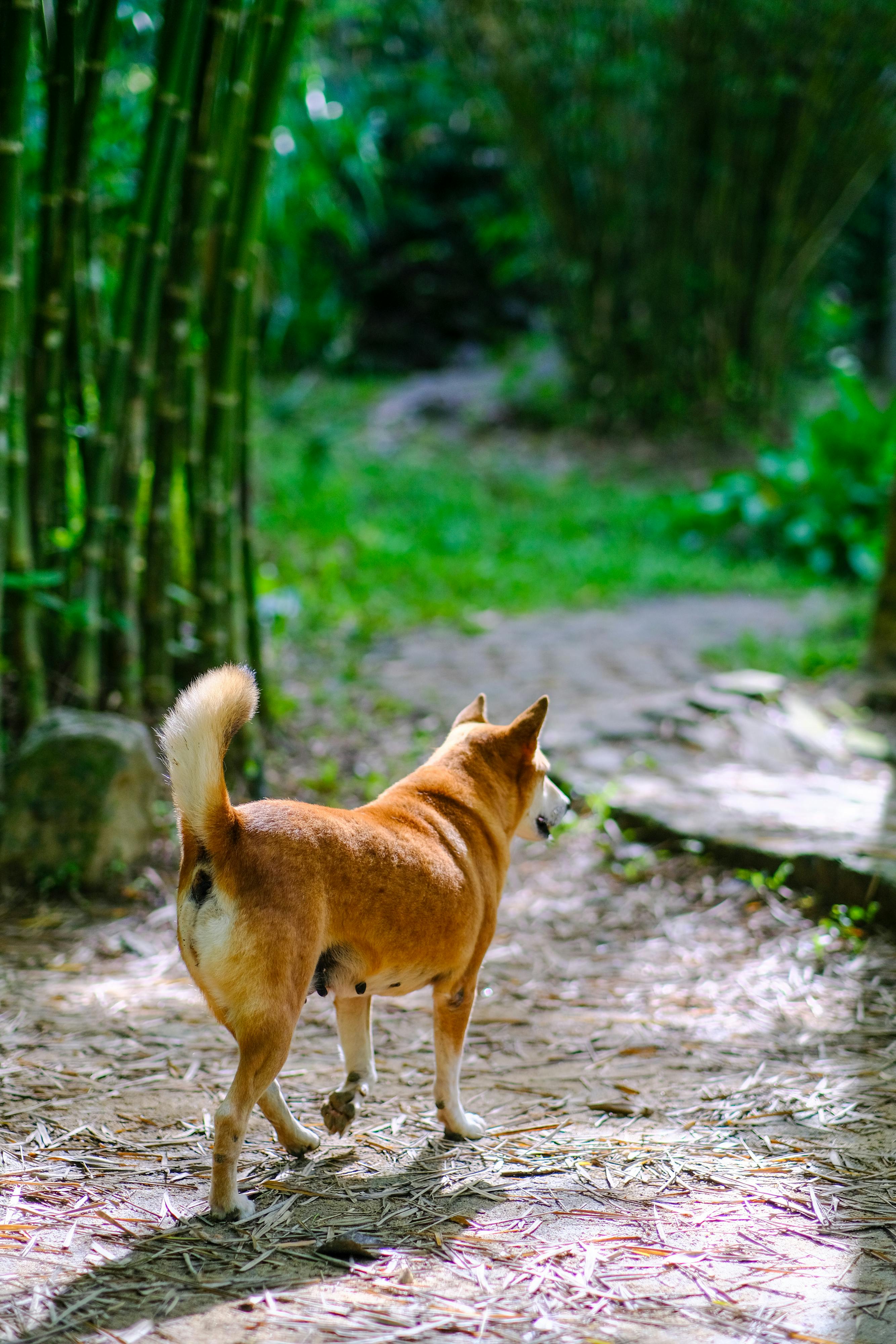 Trung tâm nghiên cứu văn học, phát triển nhà văn Việt Nam
