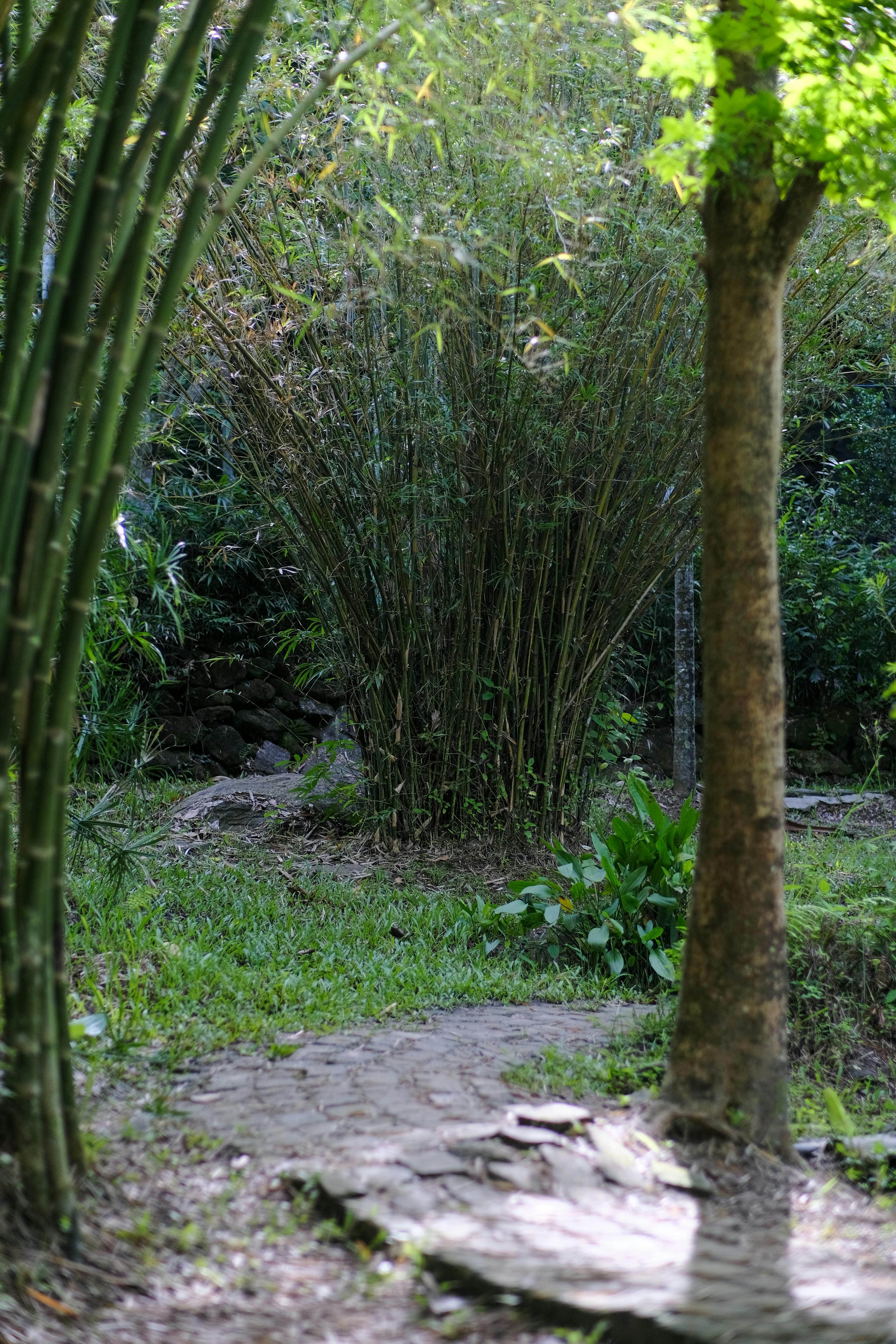 Danh sách theo thẻ tezuka-osamu, trang 3