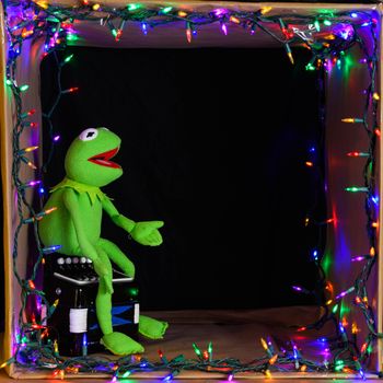 A colorful puppet surrounded by festive lights, sitting on an accordion in a box display.（イメージ）