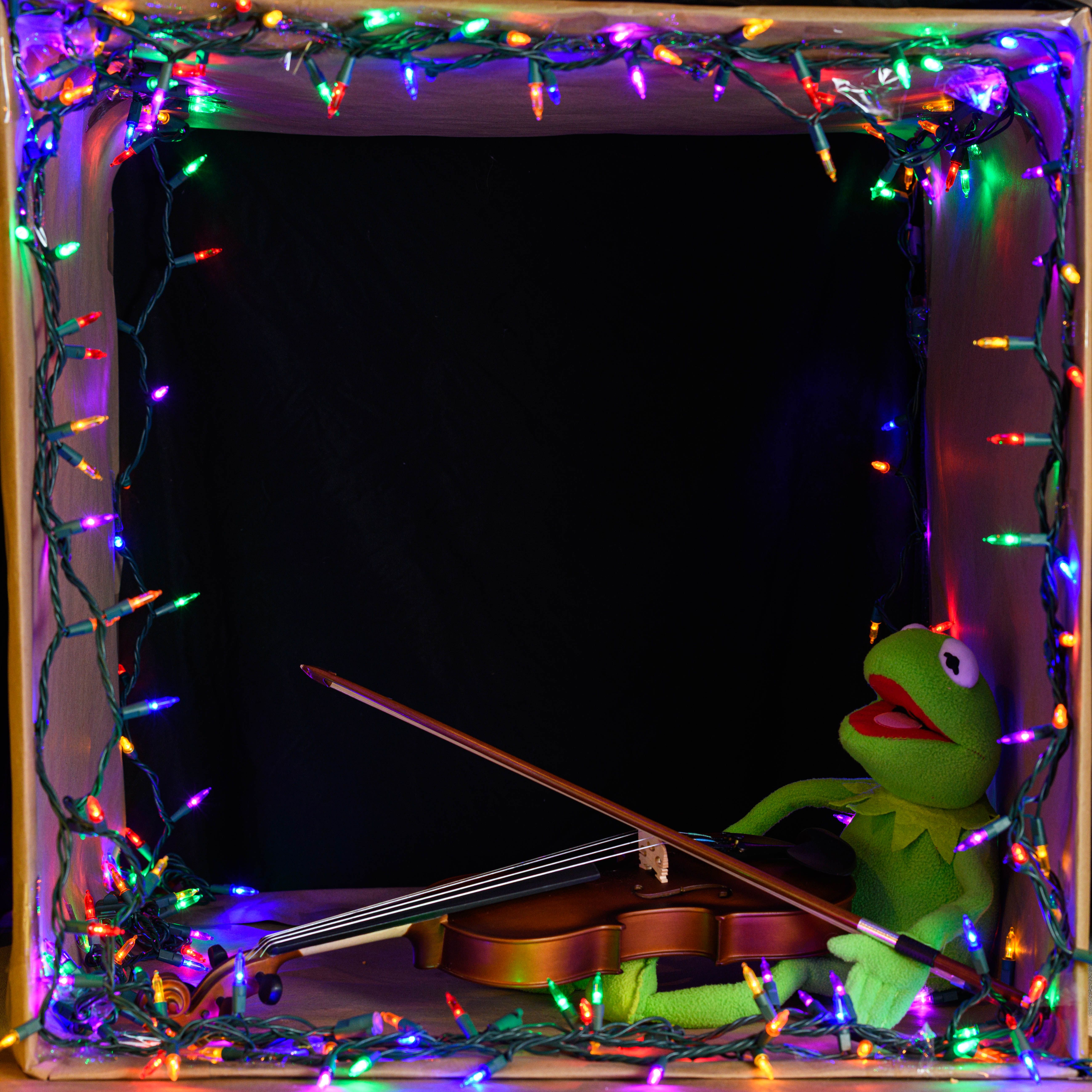 Kermit the Frog plays violin surrounded by colorful Christmas lights in a dark setting.