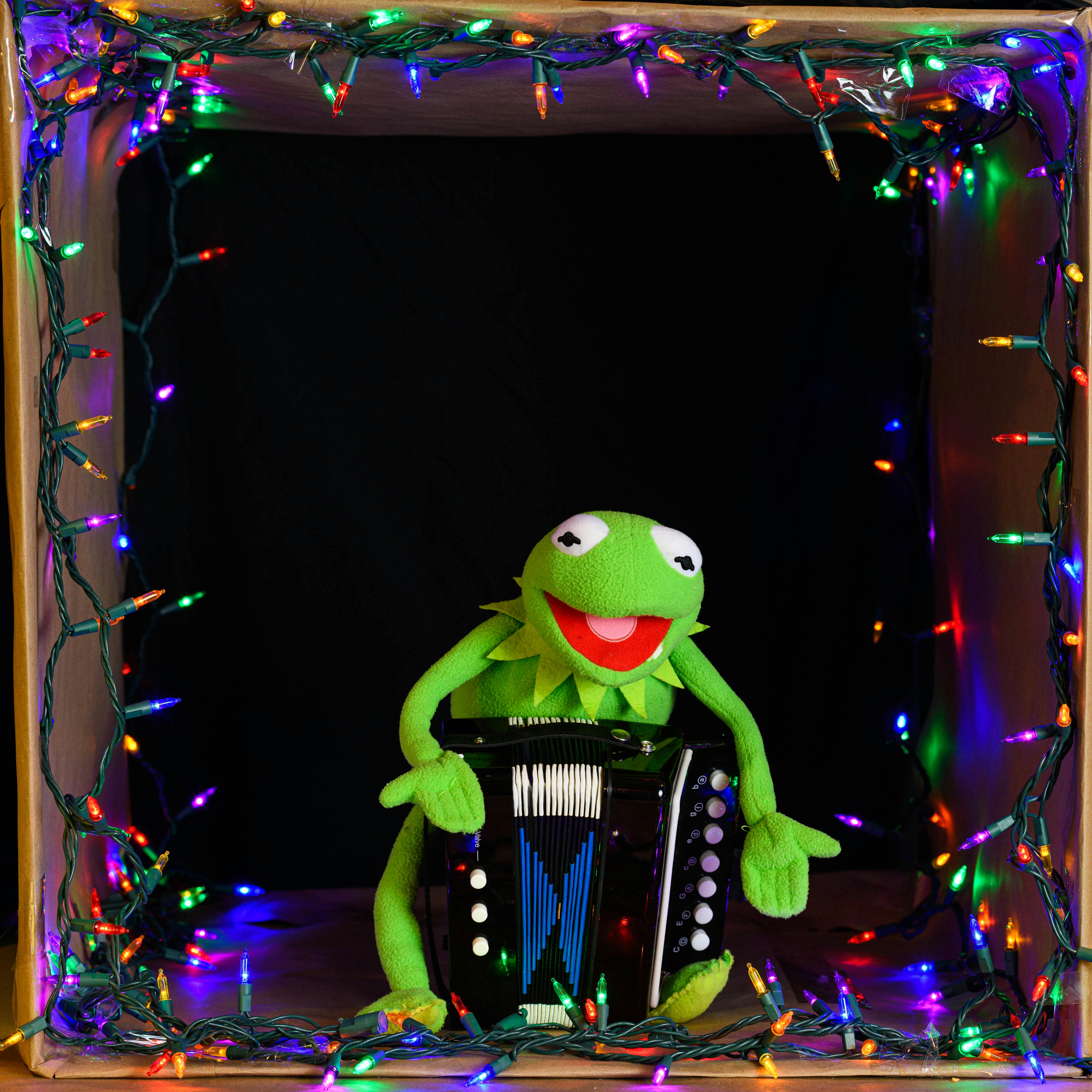 A cheerful green puppet playing an accordion surrounded by colorful holiday lights.