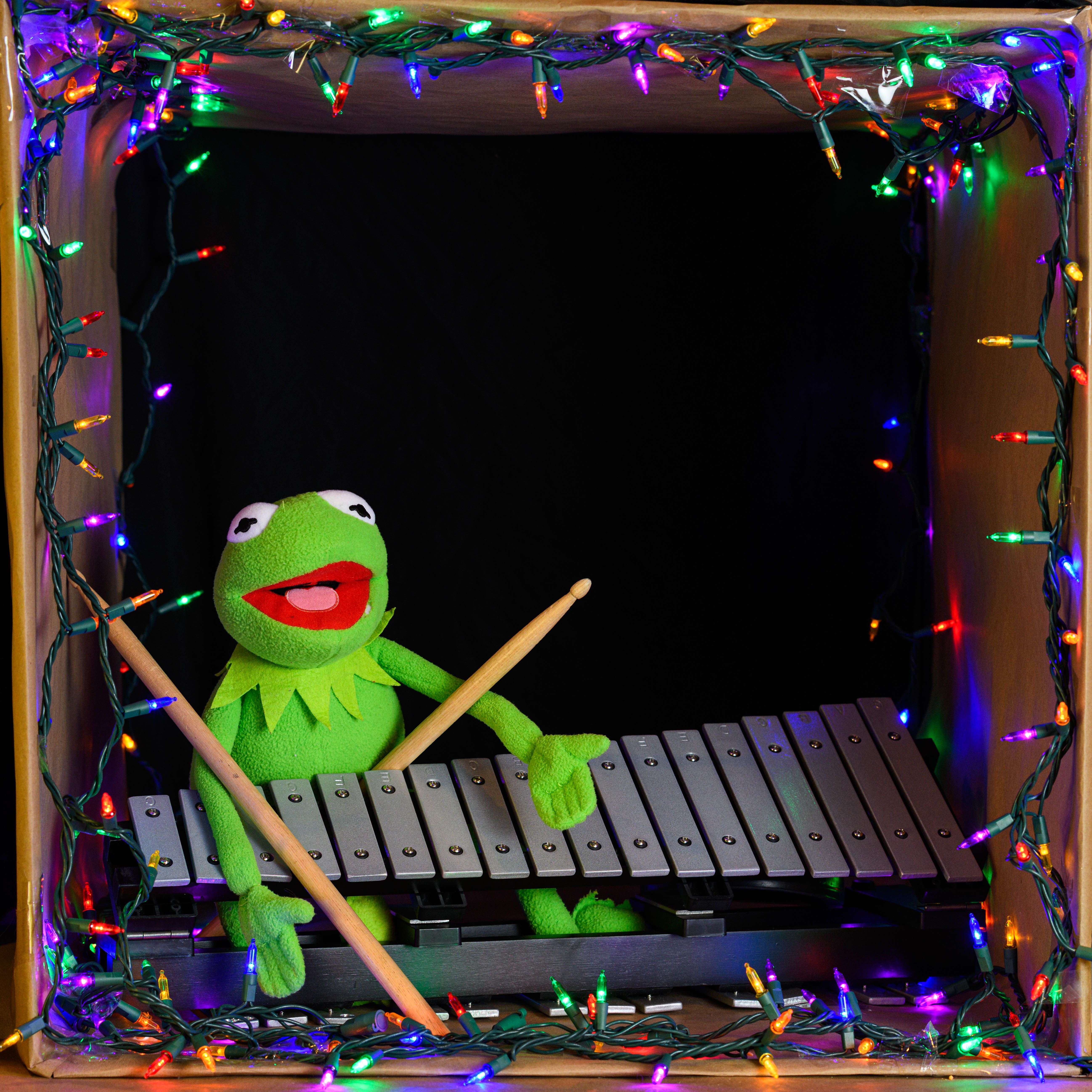 Green frog toy playing a xylophone decorated with colorful holiday lights in a dark setting.