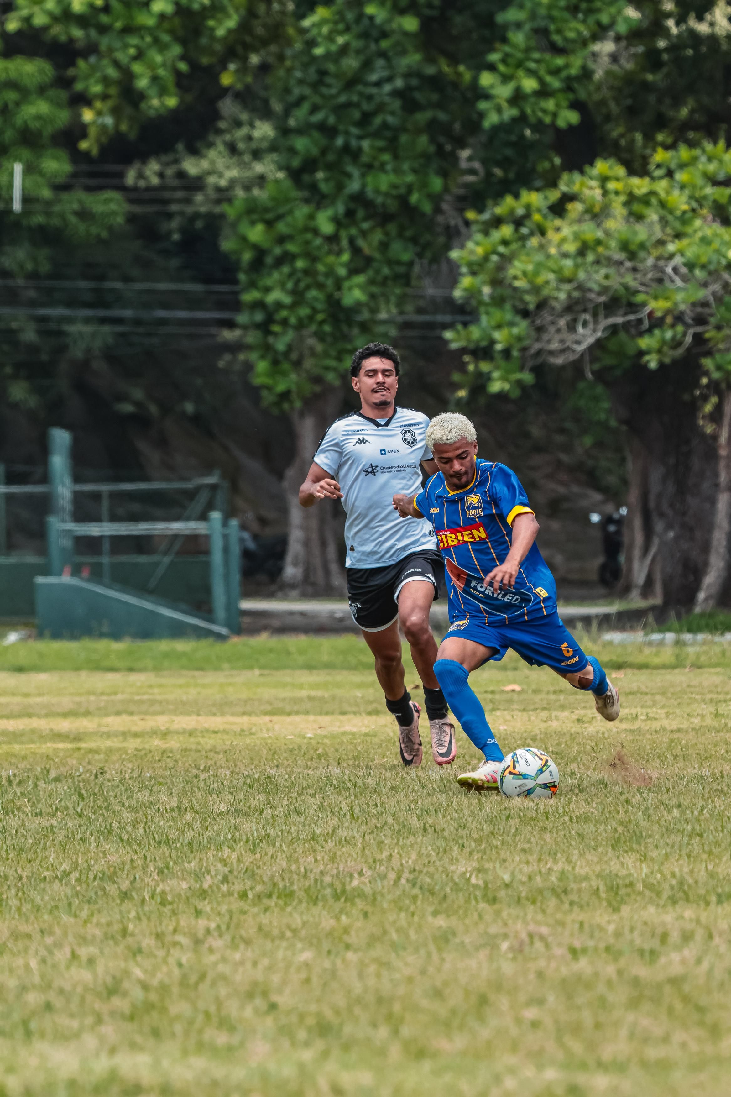 Competitive Soccer Match Action Shot Outdoors · Free Stock Photo
