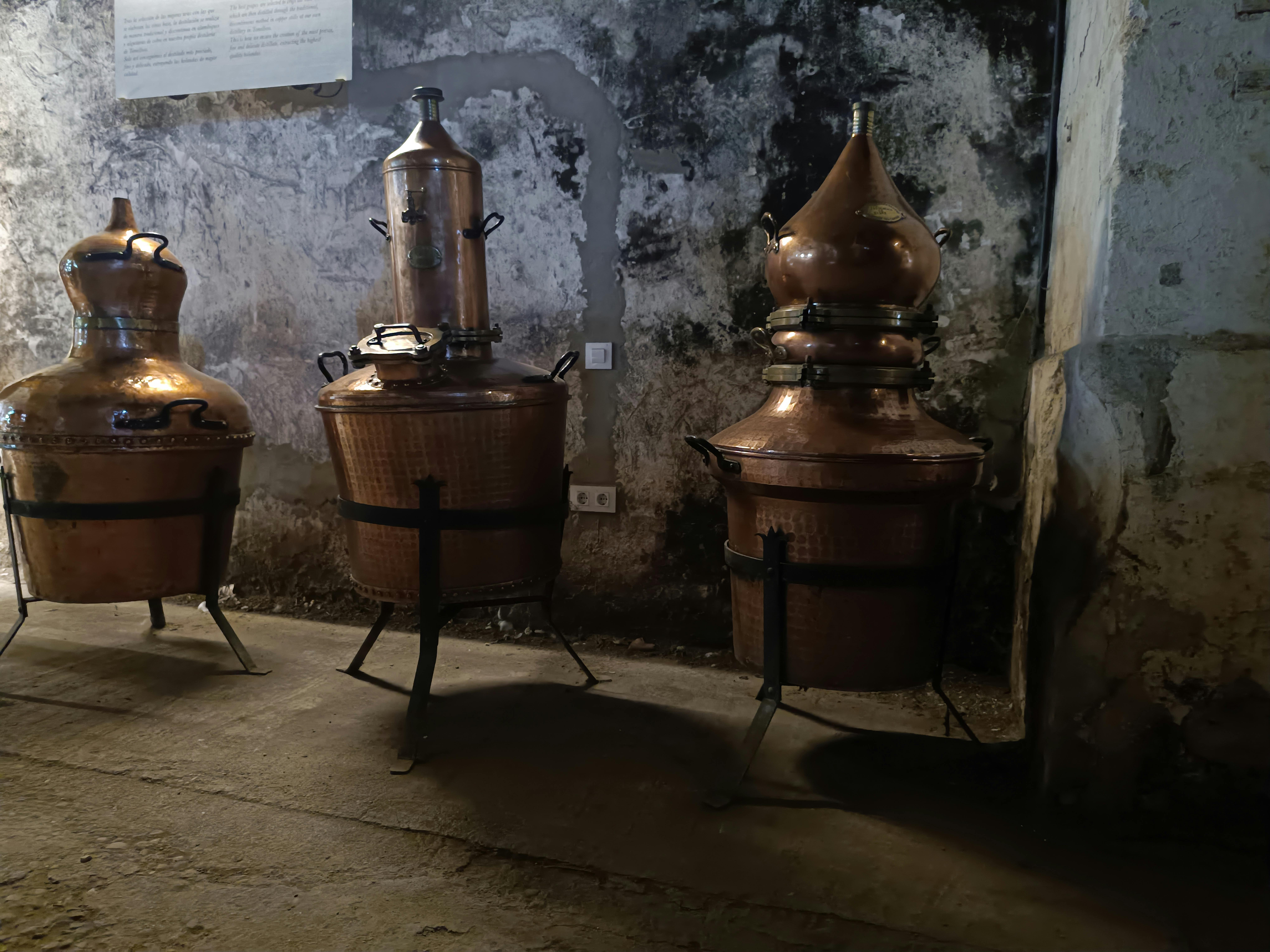 explorando los rincones de esta bodega portuense