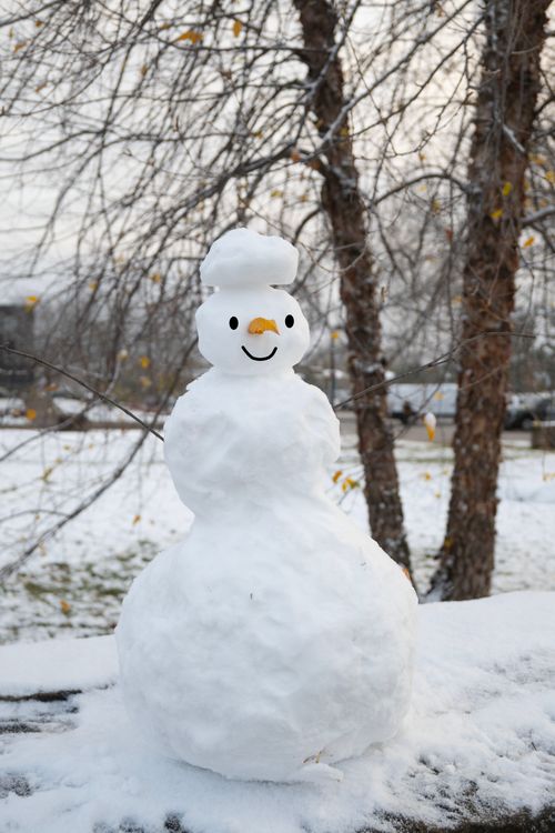 Free A smiling snowman in a snowy park setting, capturing the essence of winter fun. Stock Photo