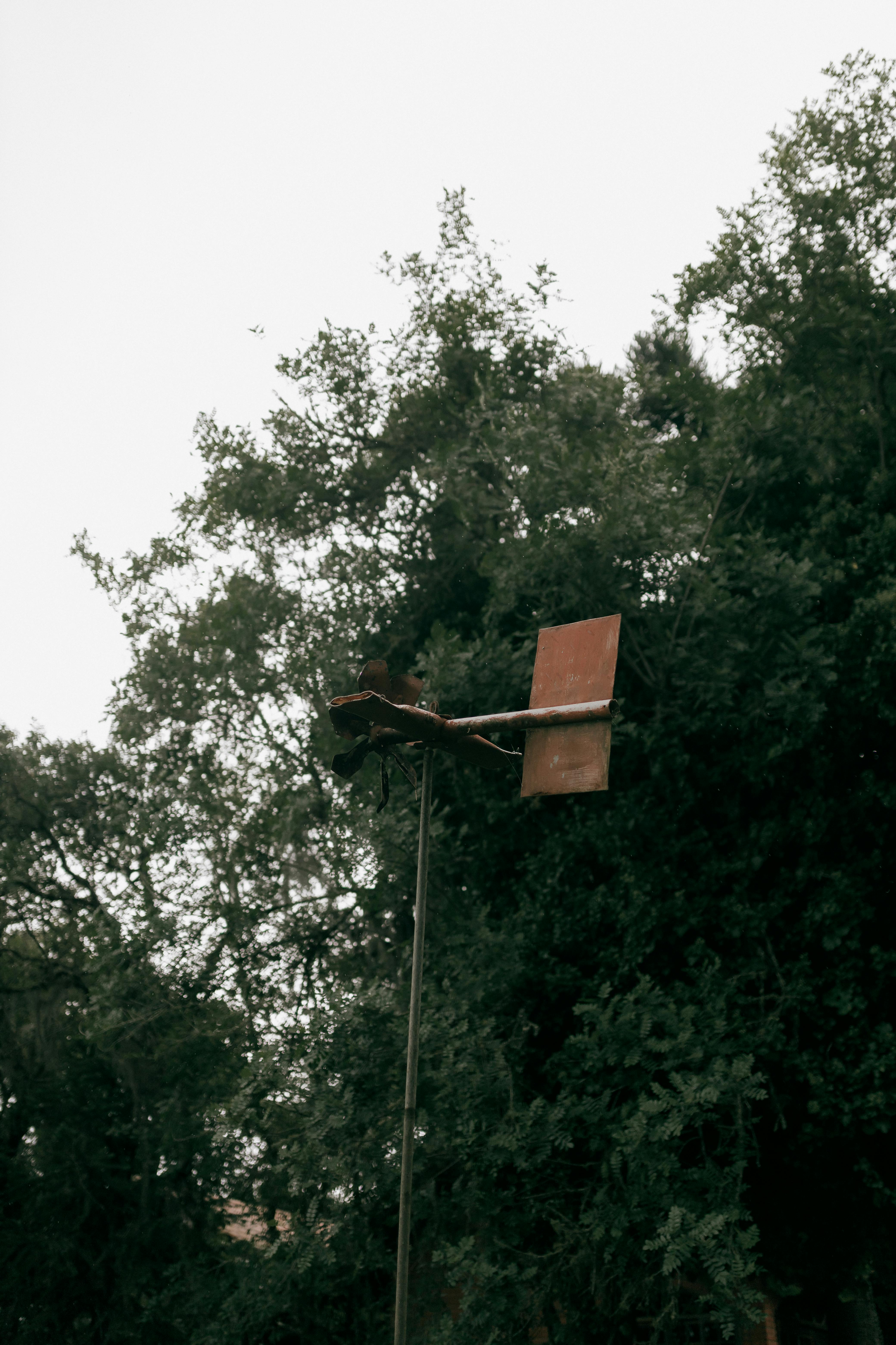 Rustic metal weather vane amidst dense green forest under cloudy sky.
