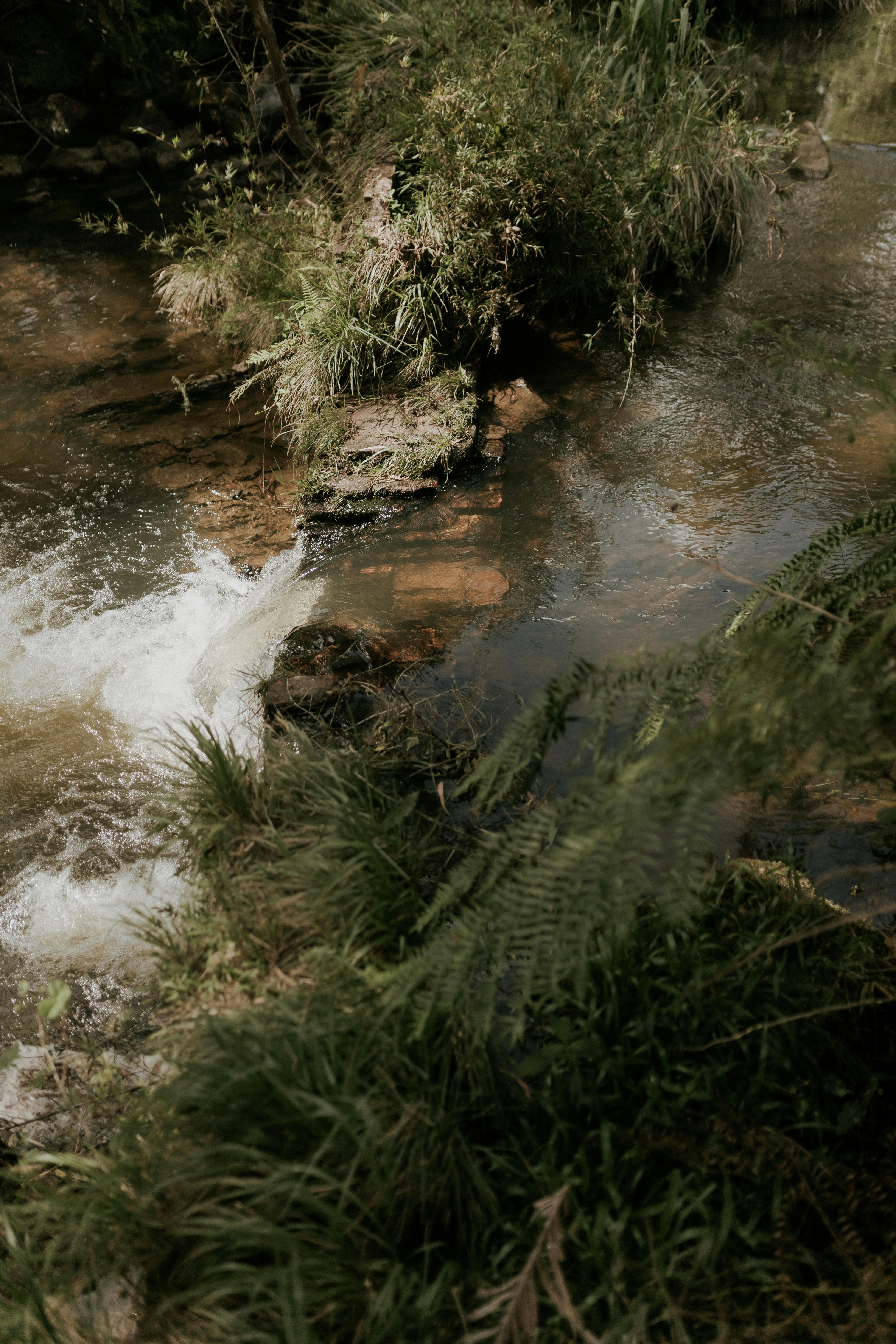 5 Zen Principles For Better Life