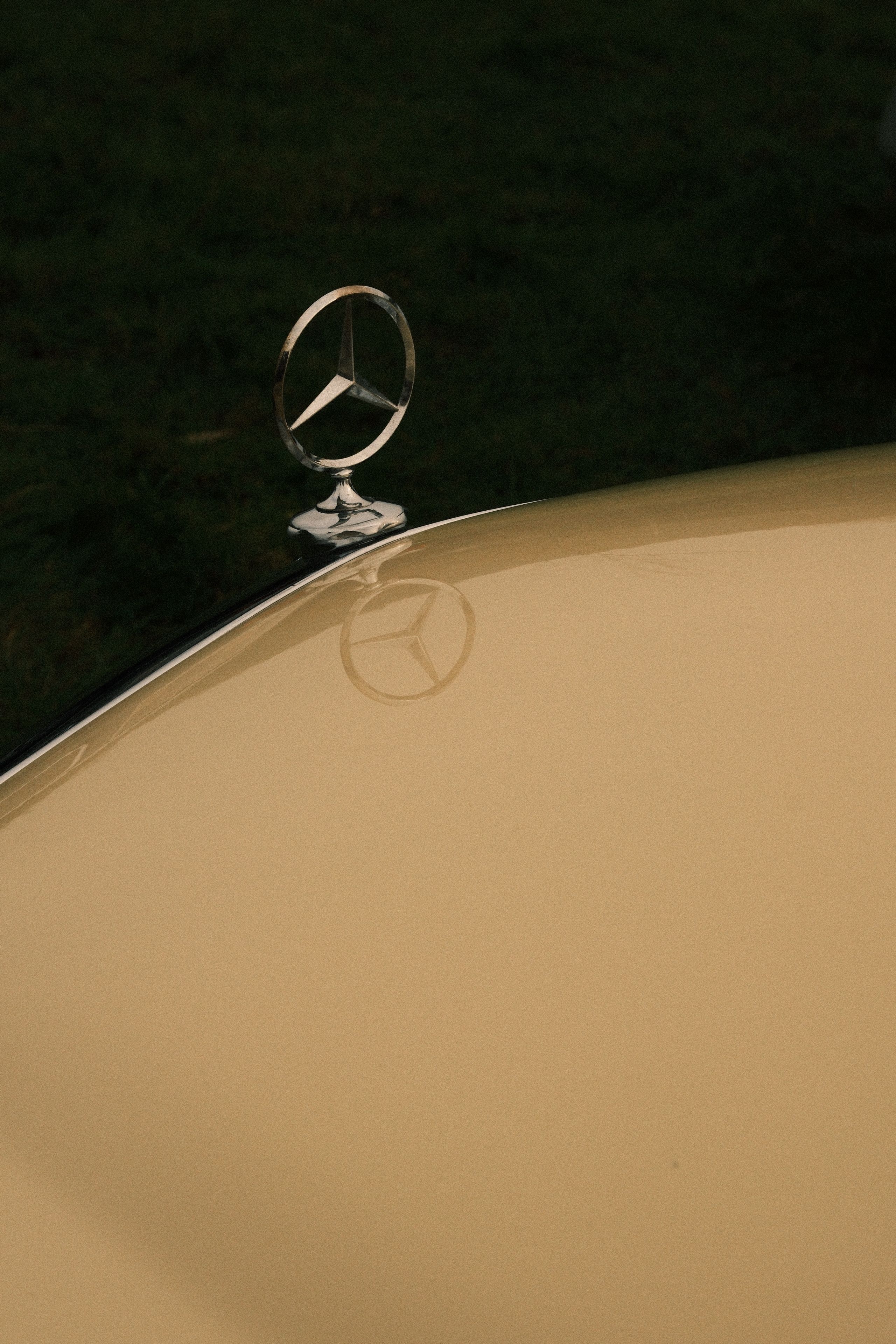 Elegant Mercedes-Benz hood ornament reflecting on a vintage car's hood in Riva, İstanbul.