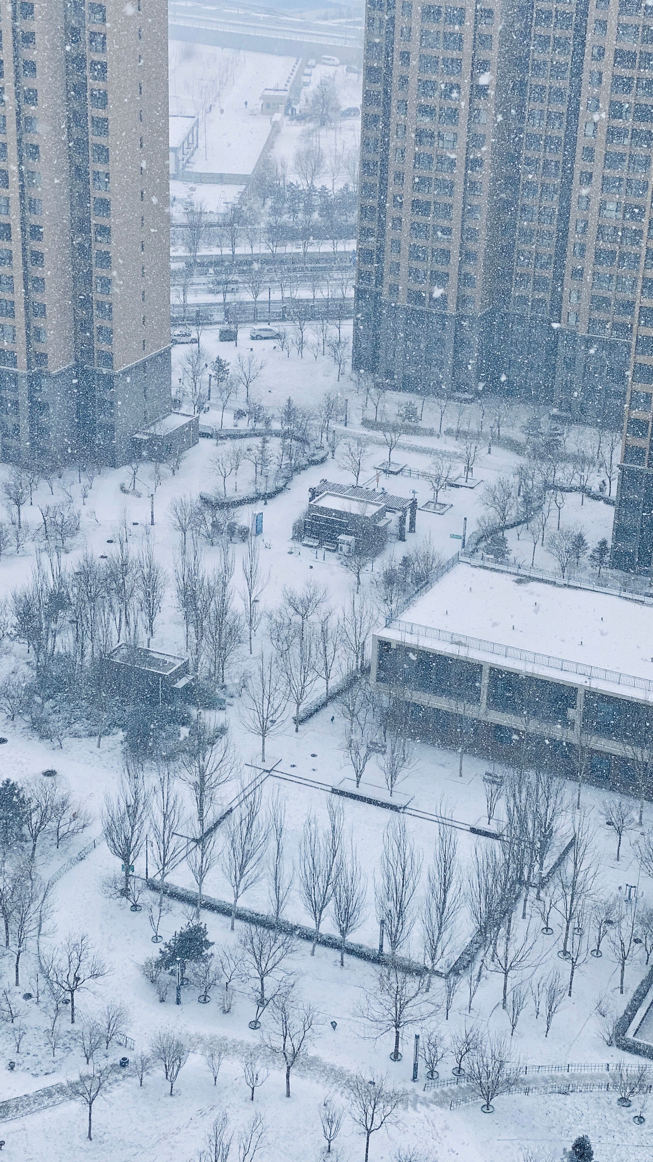 Aerial View of Snowy Urban Landscape with High-Rises · Free Stock Photo
