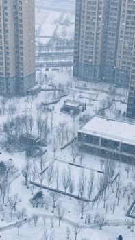 A serene urban scene captured in winter, with snowfall covering high-rise buildings and parks.