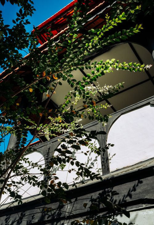 Free Scenic view of lush greenery embracing traditional architecture under a clear sky. Stock Photo