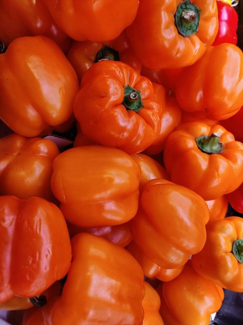 Free Close-up of fresh orange bell peppers offering vibrant texture and color. Stock Photo