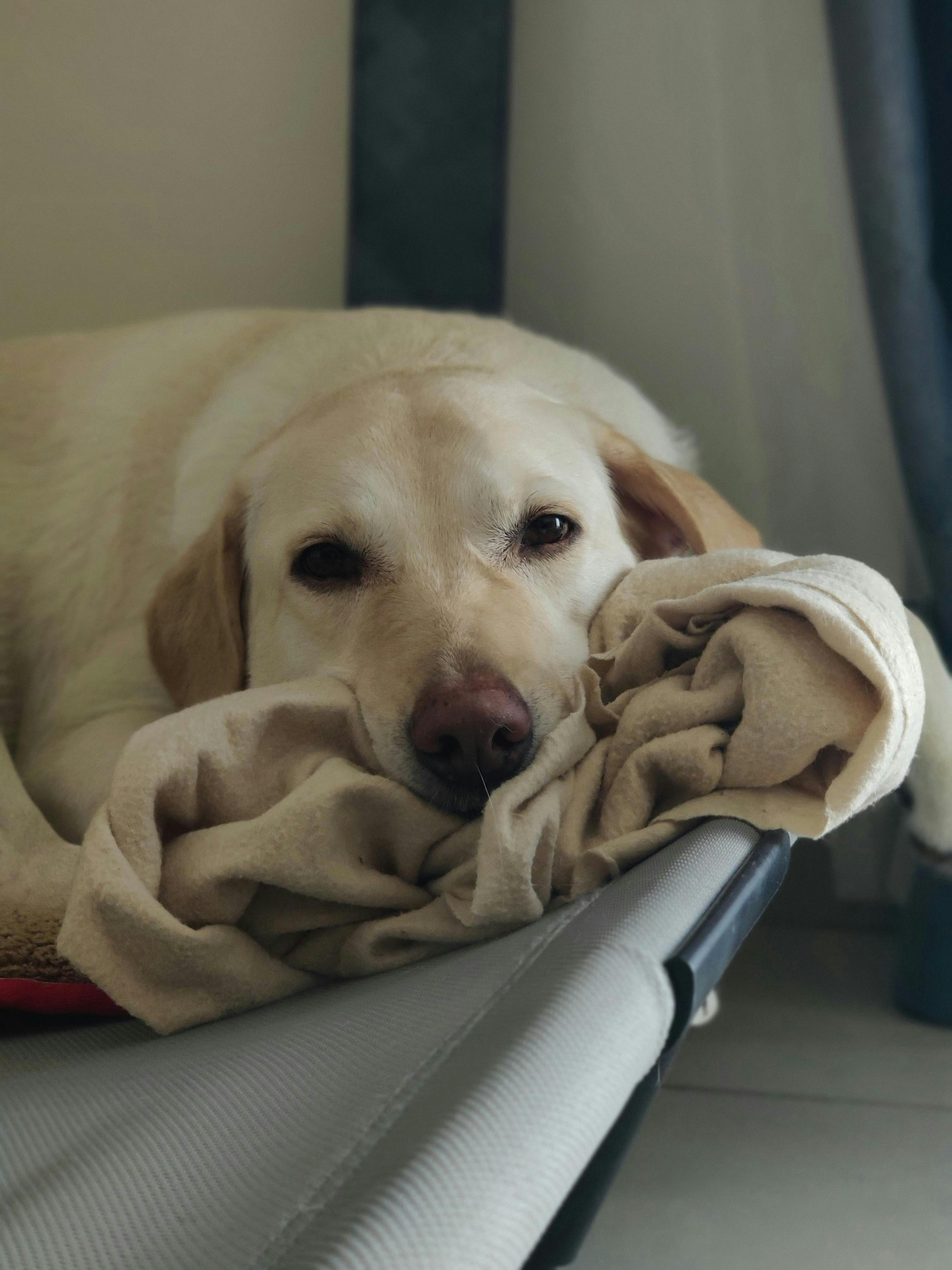 3.Kindle Krusher Content