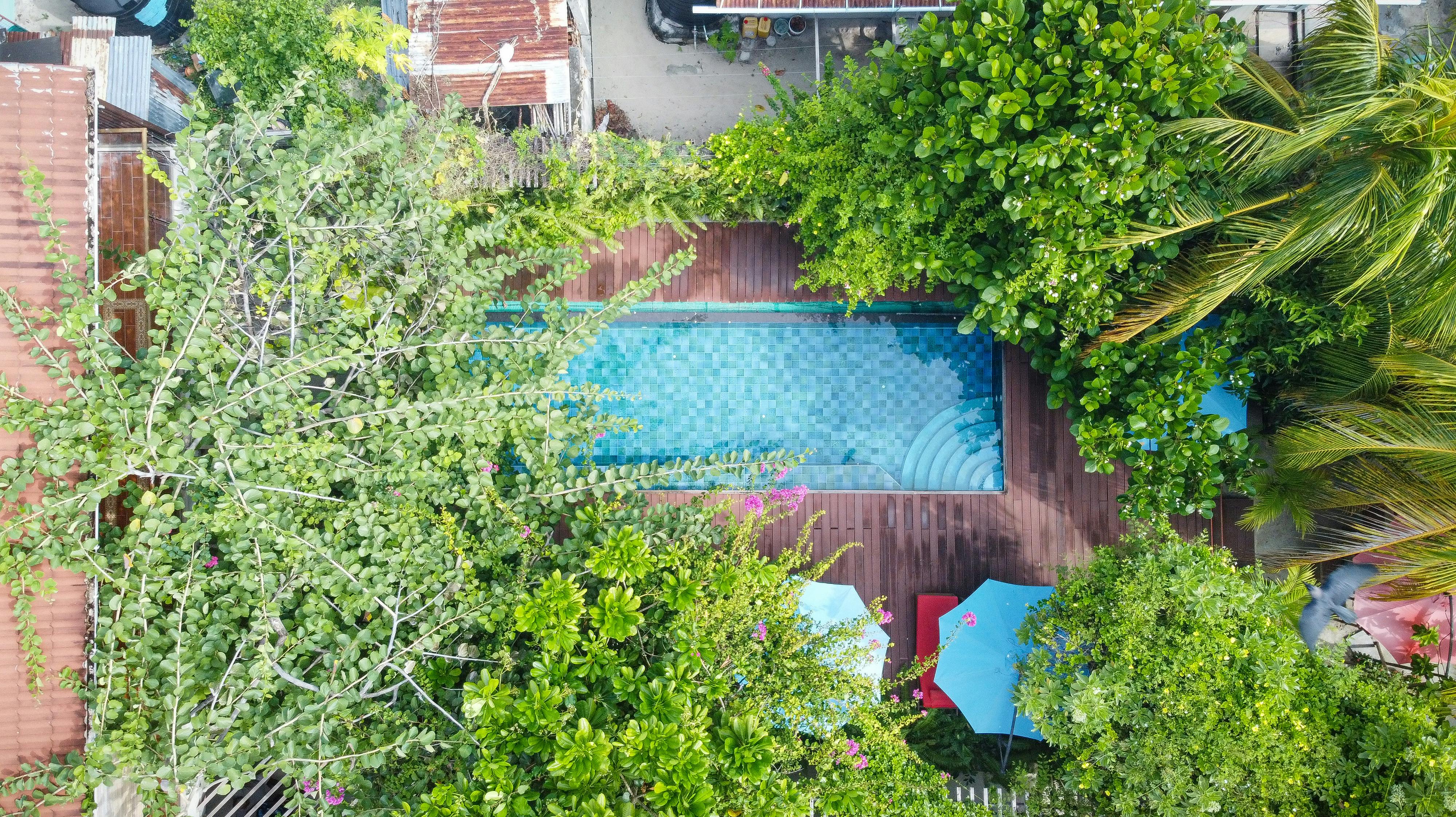 Free stock photo of arial, family fun, holiday