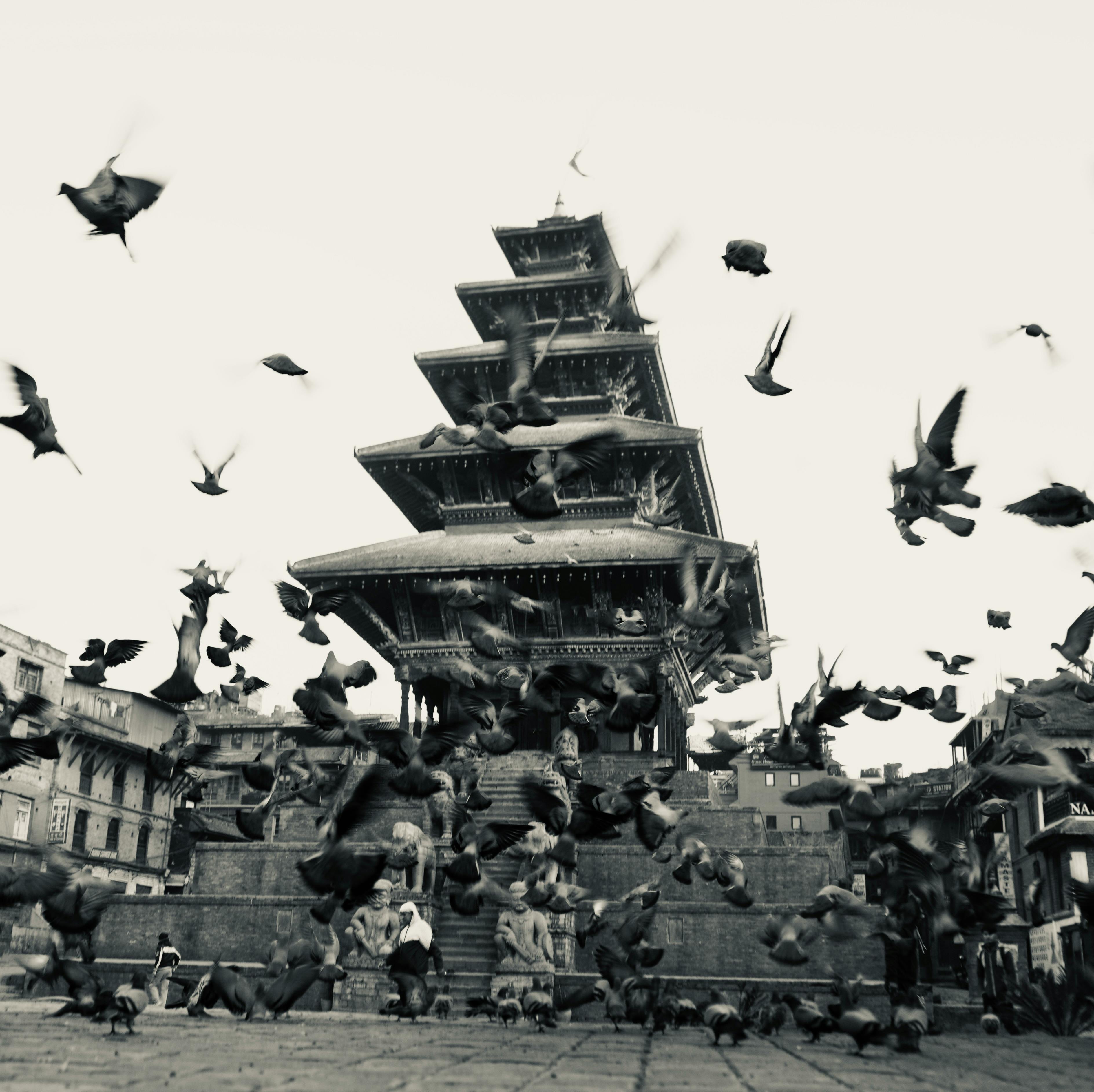 5 Benifits Of Morning Ritual