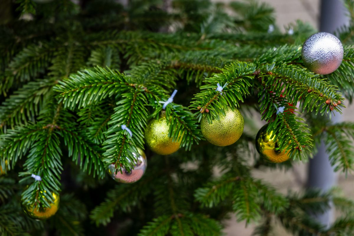 Weihnachtsfarben 2026: 4 Trends von klassisch bis modern — Trend-Beispiel
