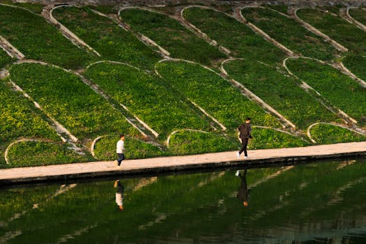 A father and son walking along a picturesque lakeside path with their reflections in the water.