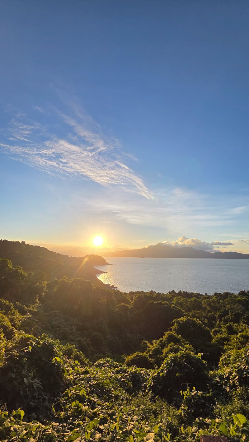 Sunset Langur Spotting