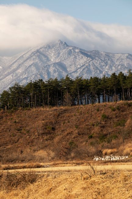 단양 겨울 여행 풍경