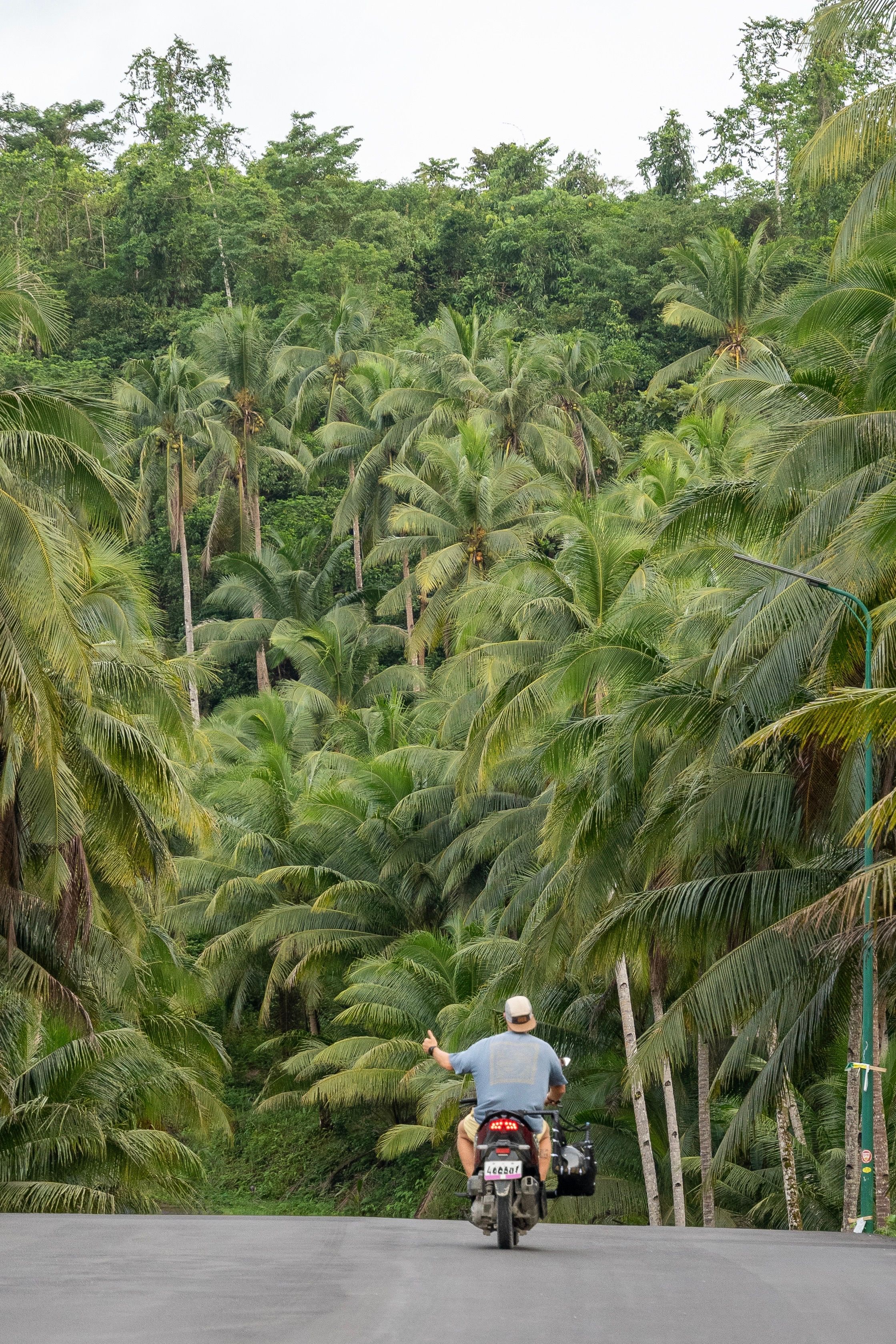 Motorcyclist on a tropical road flanked by lush coconut trees in Caraga, Philippines.