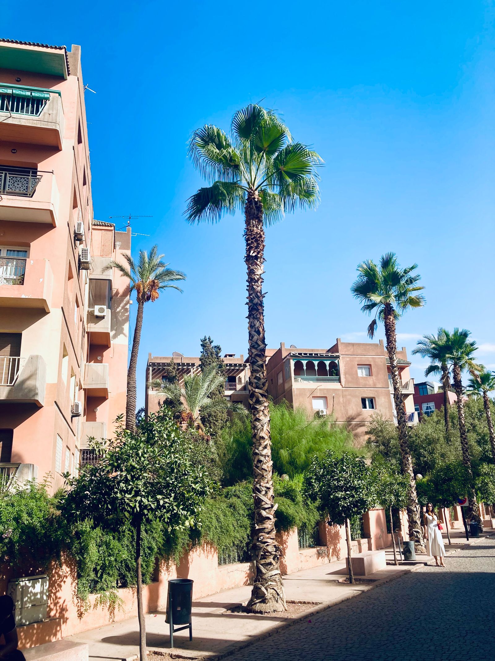 Marrakech airport transfer route through a palm-lined street in Marrakech