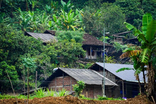 Scenic view of rustic houses surrounded by dense jungle foliage in a tropical village.