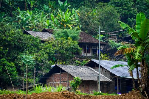 Free Scenic view of rustic houses surrounded by dense jungle foliage in a tropical village. Stock Photo