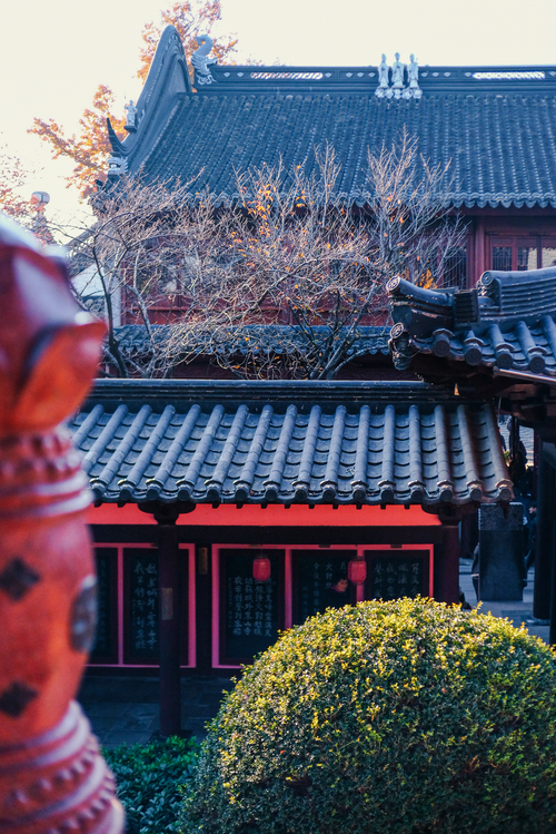 Free Serene view of traditional Asian architecture with winter trees and bushes. Stock Photo