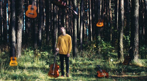 Free stock photo of acoustic guitar, classical guitar, forest Stock Photo