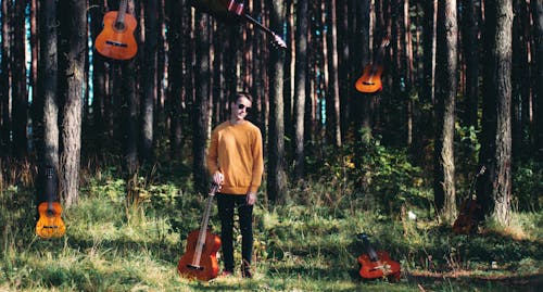 Free stock photo of acoustic guitar, classical guitar, forest