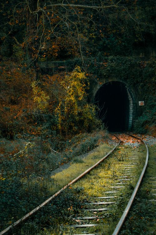 Free A dark train tunnel surrounded by vibrant autumn foliage in Zonguldak, Türkiye. Stock Photo