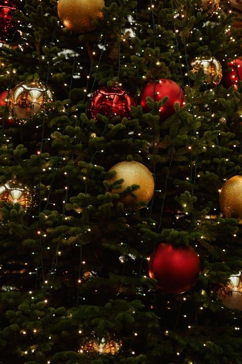 Free Decorated Christmas tree with red and gold baubles, vibrant holiday spirit. Stock Photo