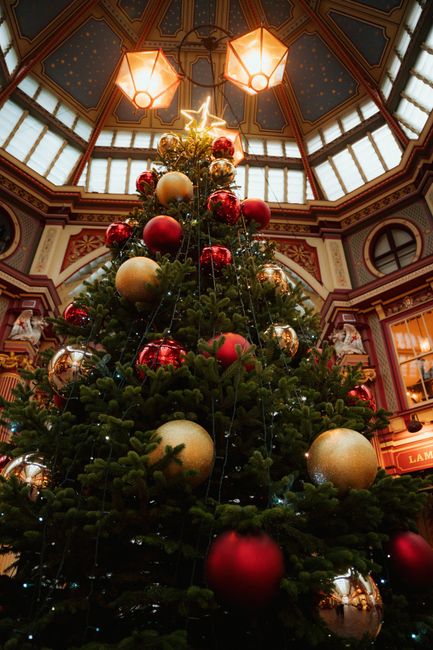 Stunning Christmas tree decked with red and gold ornaments in a festive indoor hall.