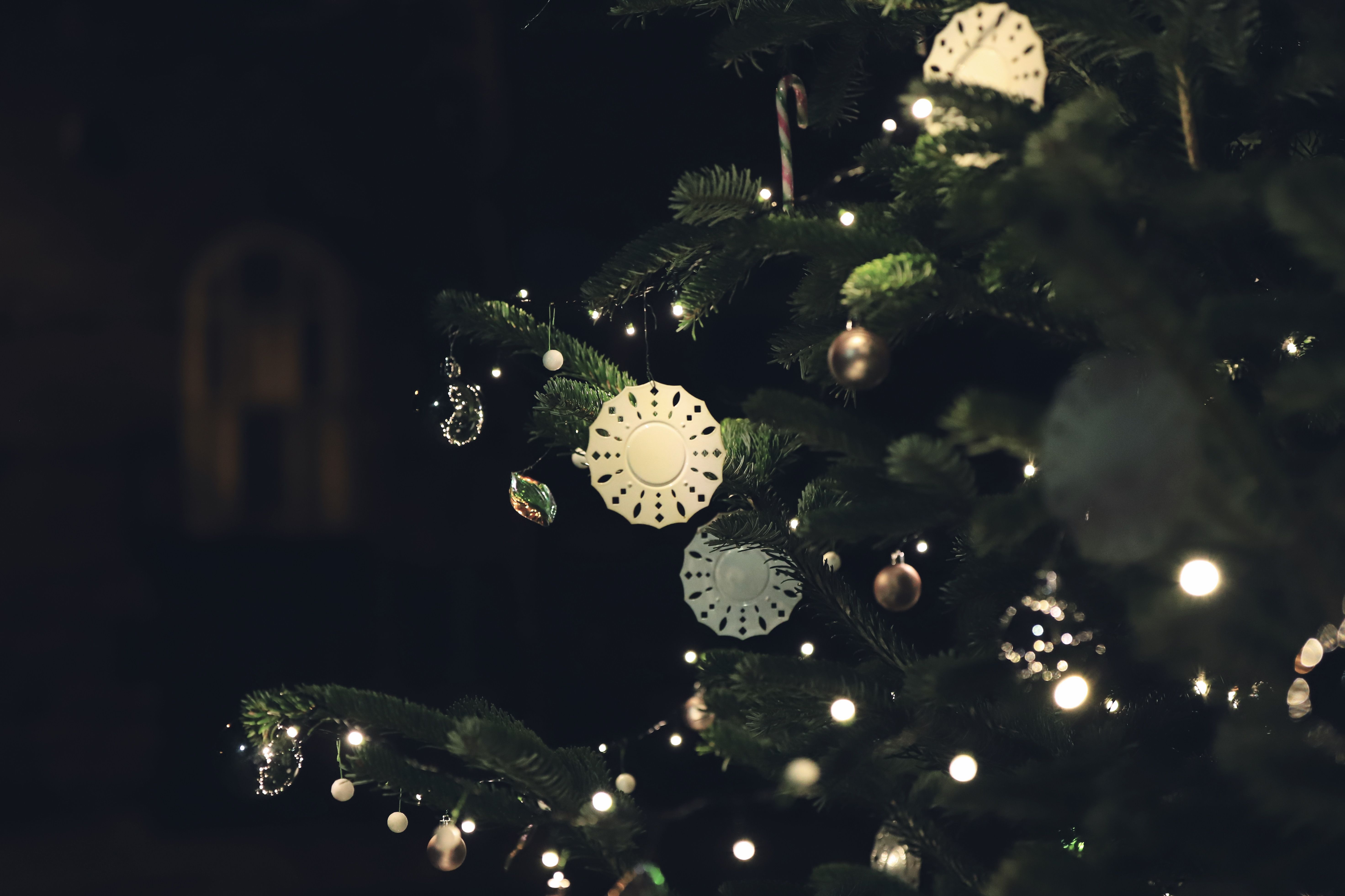 Christmas arrives at the White House. See photos, video of decor. — Photo by Christina & Peter on Pexels