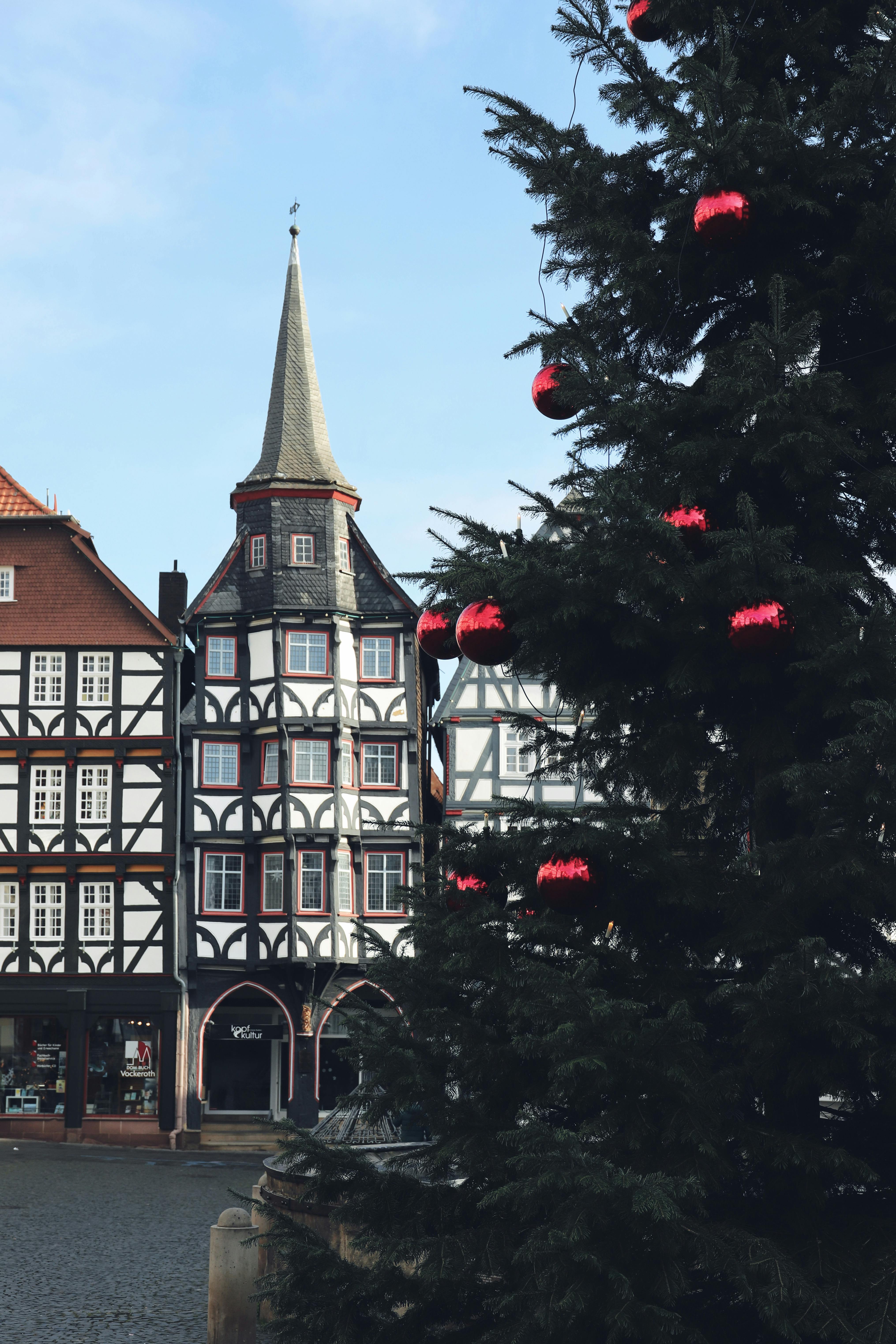 (Ebook German) Reich Orgon Lebensmittel Fischer