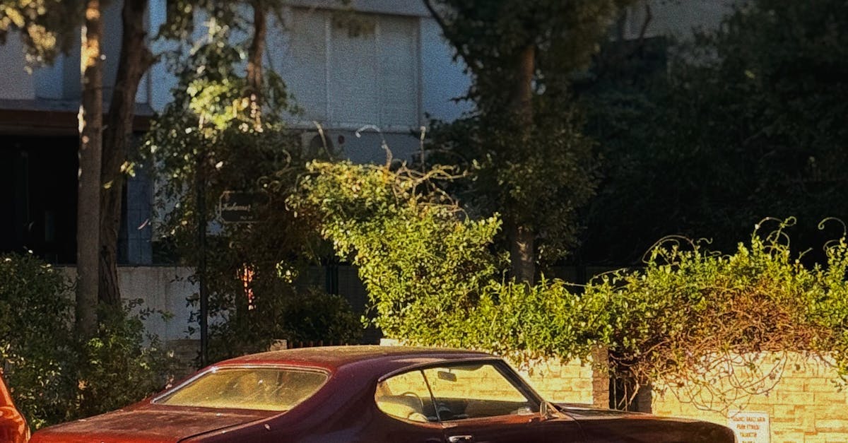 Fotos De Estudio Profesionales De Automóviles