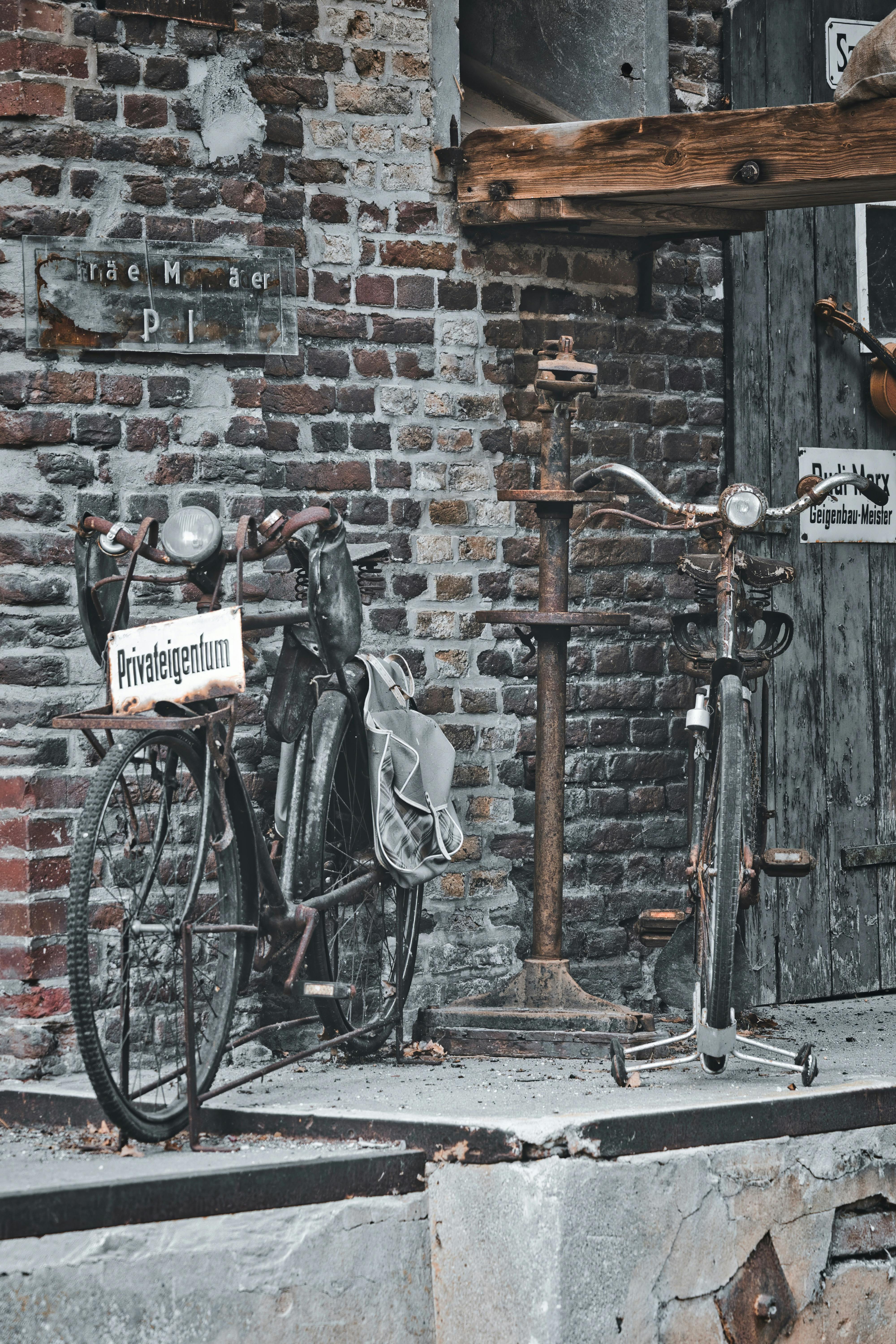 (Ebook German) Reich Orgon Lebensmittel Fischer