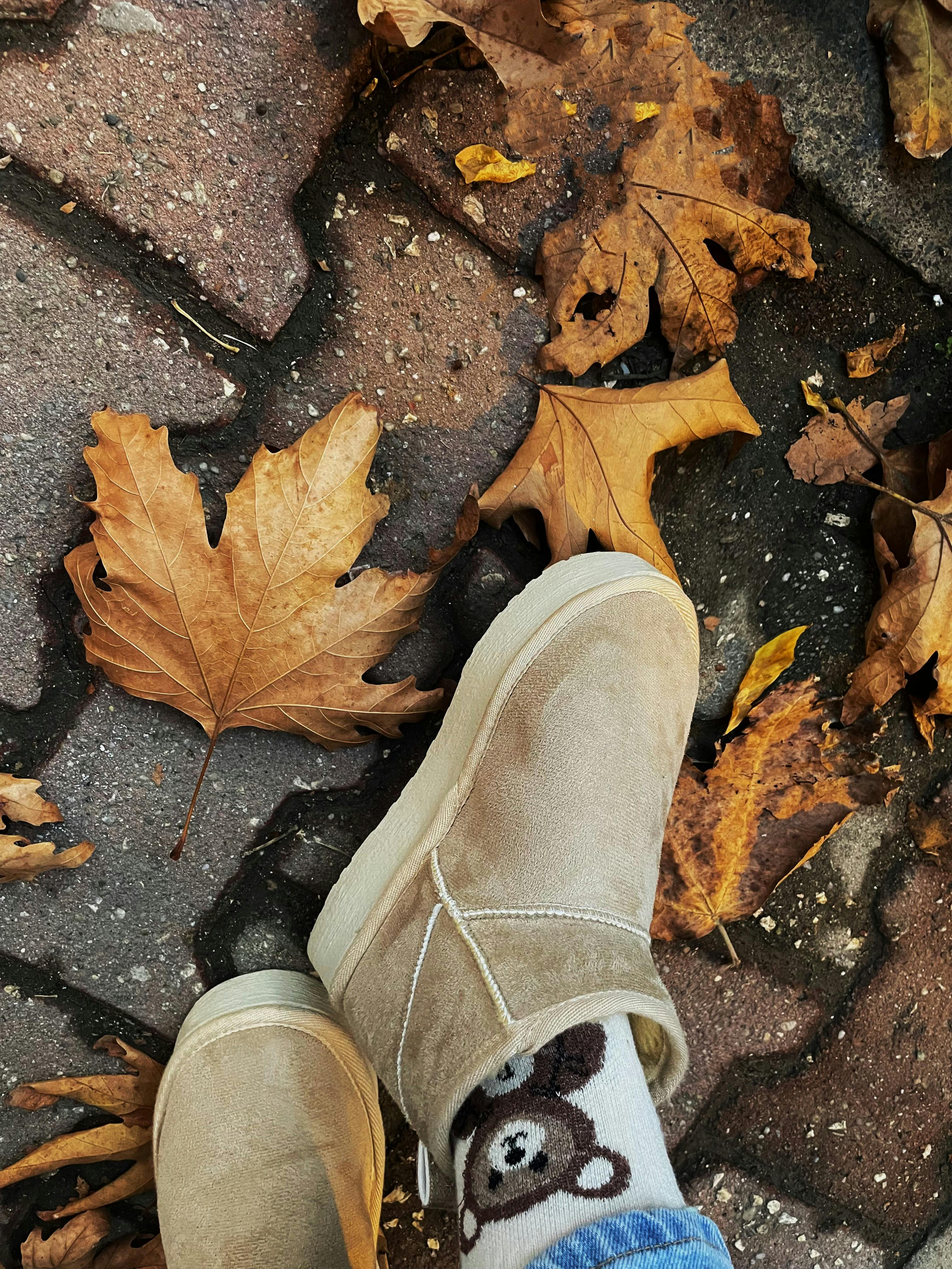 cozy Zelda-style games